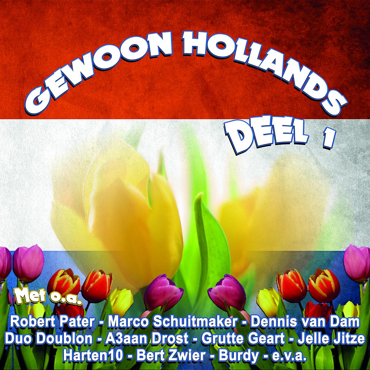 Постер альбома Gewoon Hollands, Deel 1