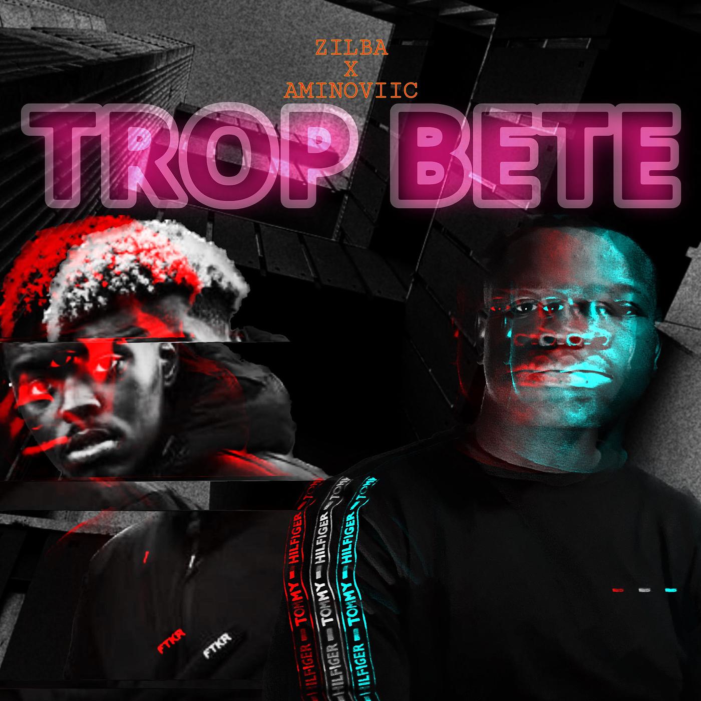 Постер альбома Trop bête