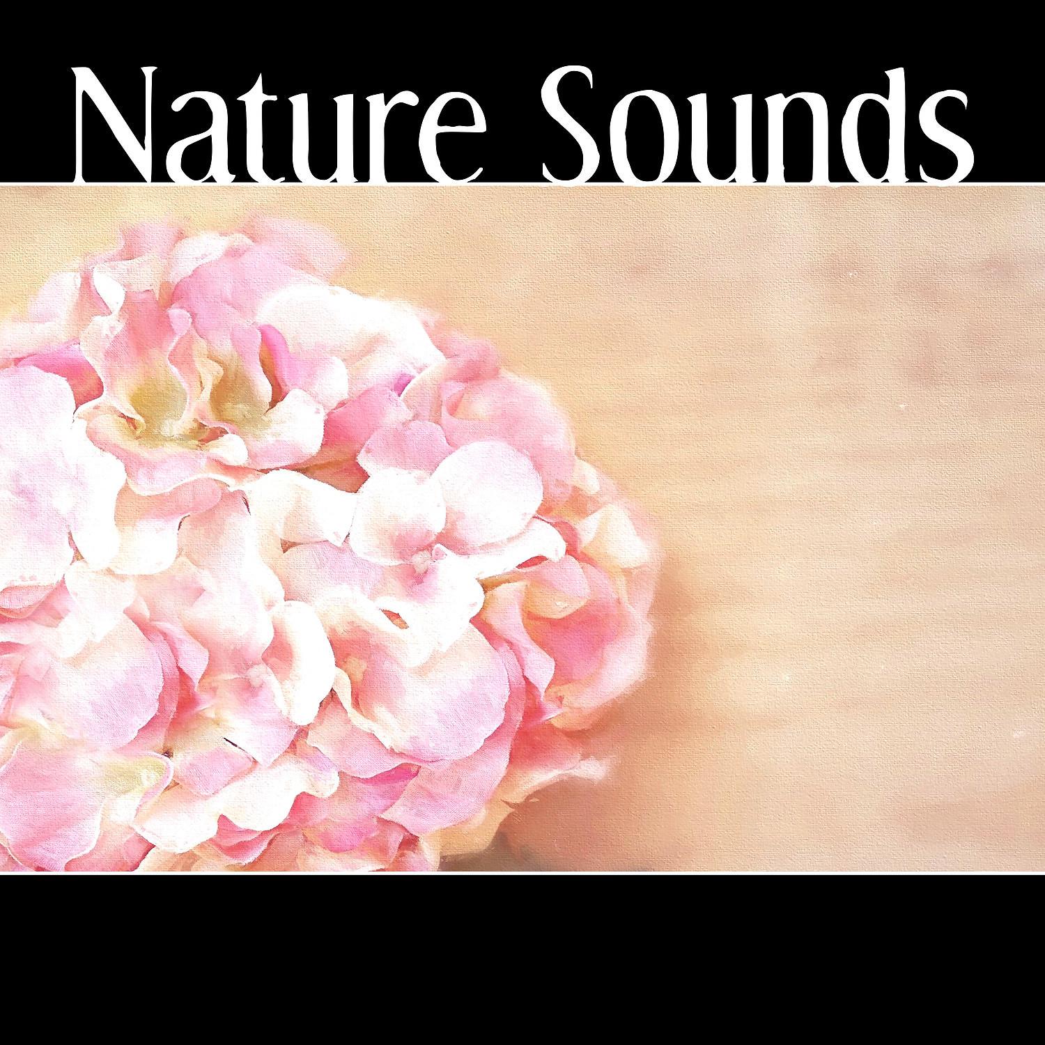 Постер альбома Nature Sounds – Take a Break, Your Time, Relax Yourself, Deep Relax, Spa, Wellness & Yoga, Healing Smooth Sounds for Therapy