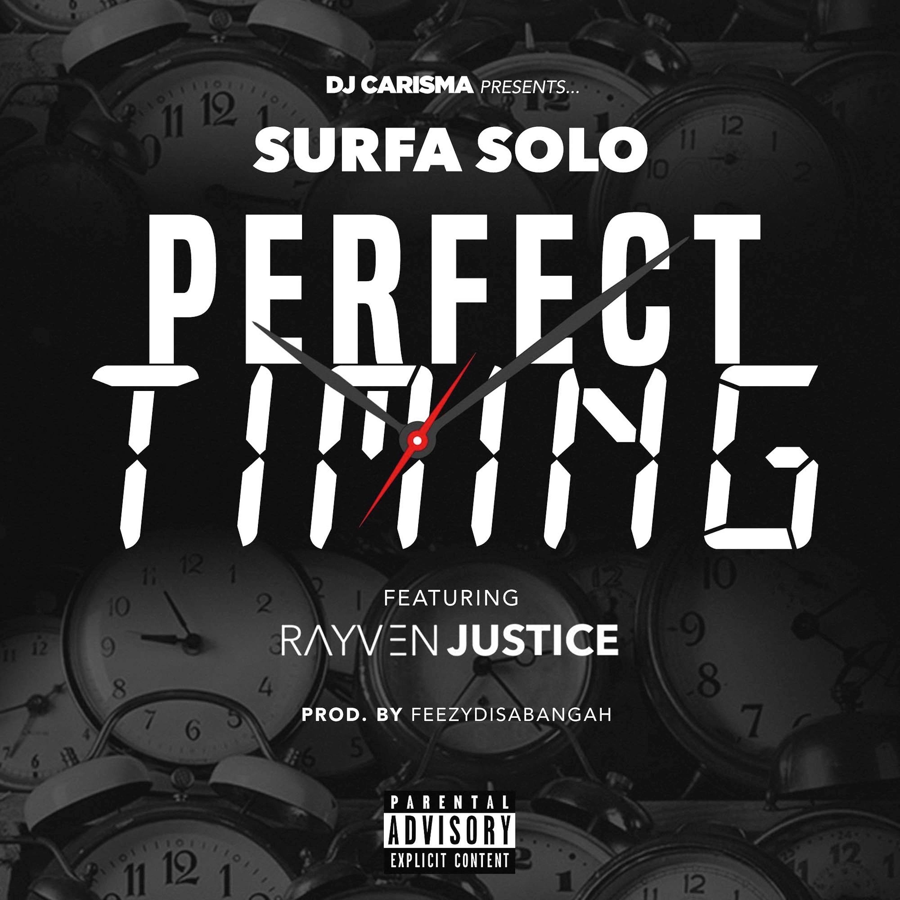 Постер альбома Perfect Timing (feat. Rayven Justice & DJ Carisma)