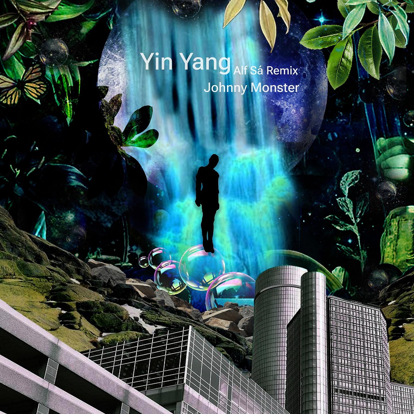 Постер альбома Yin Yang (Alf Sá Remix)