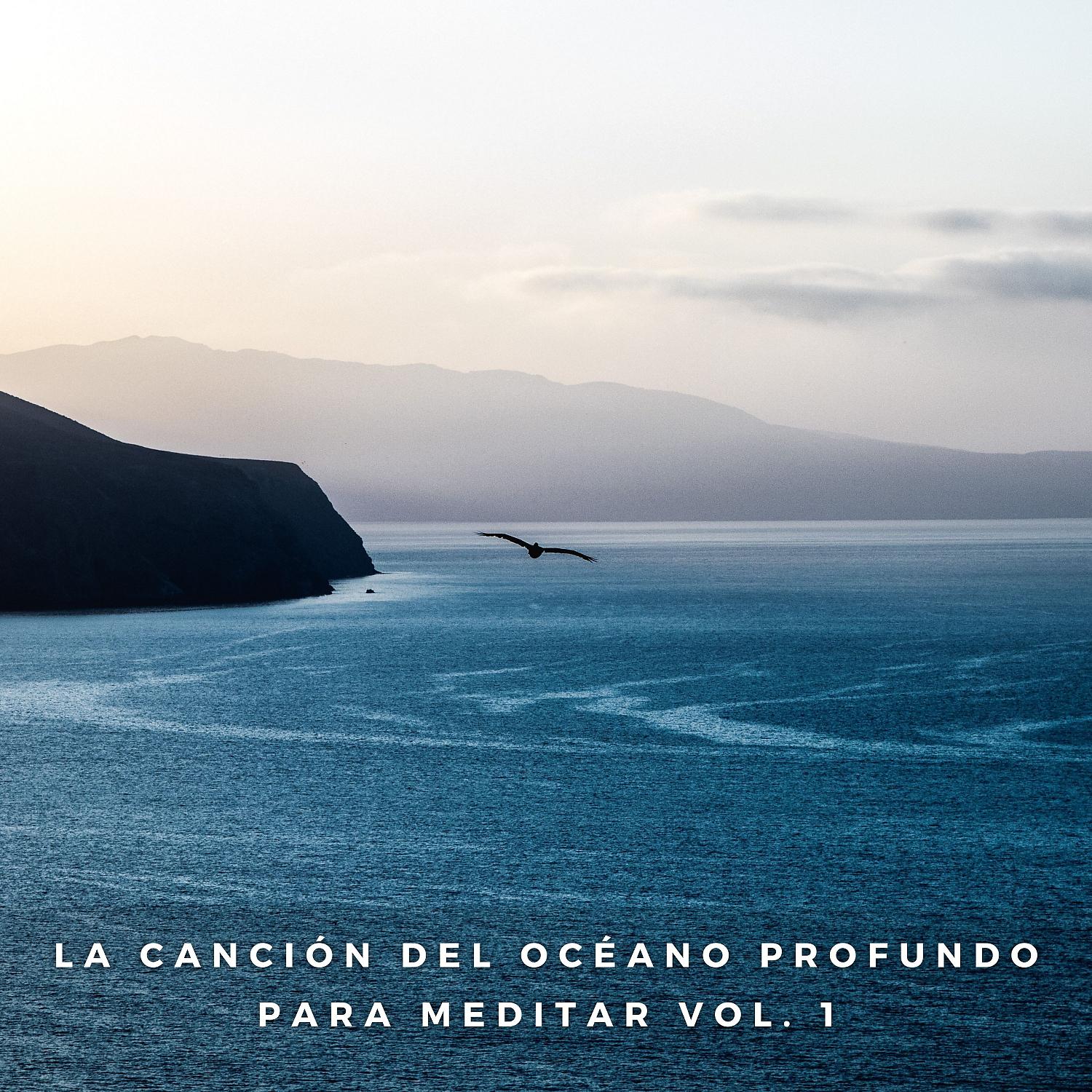Постер альбома La Canción Del Océano Profundo Para Meditar Vol. 1