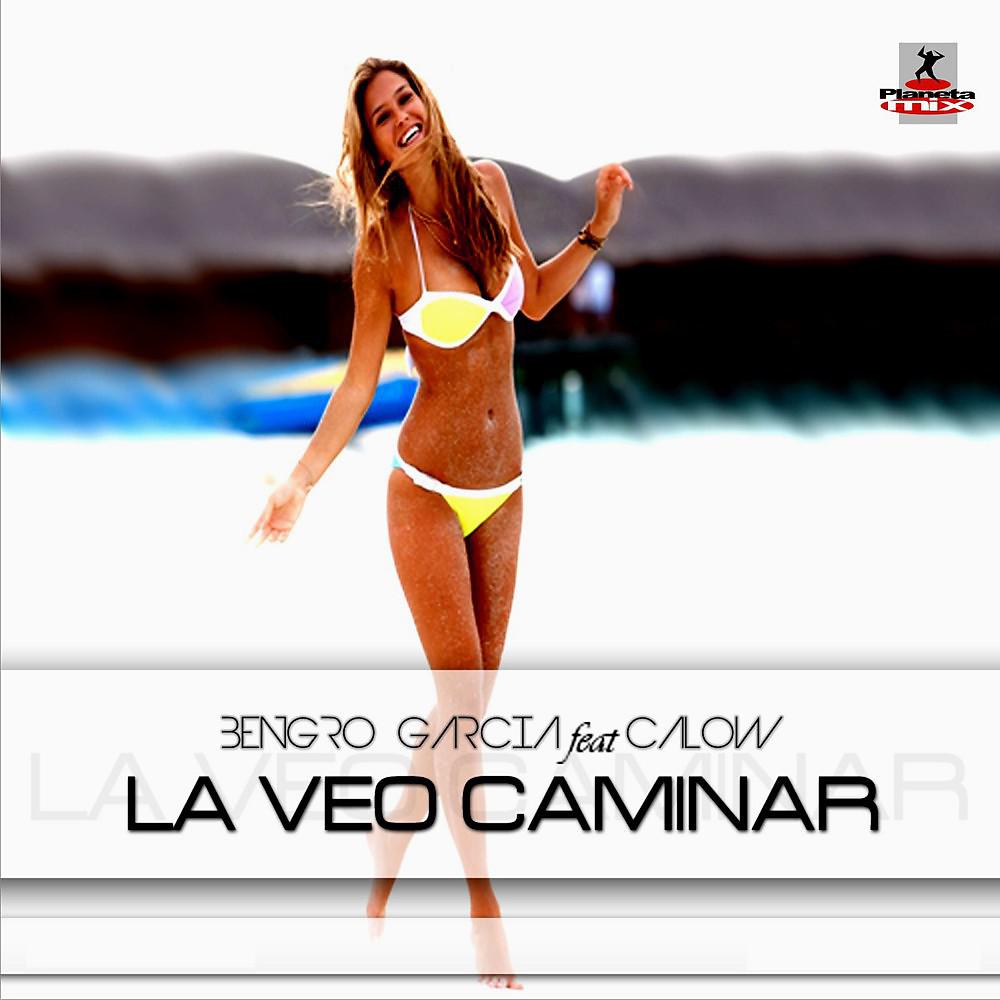 Постер альбома La Veo Caminar (Original Mix)