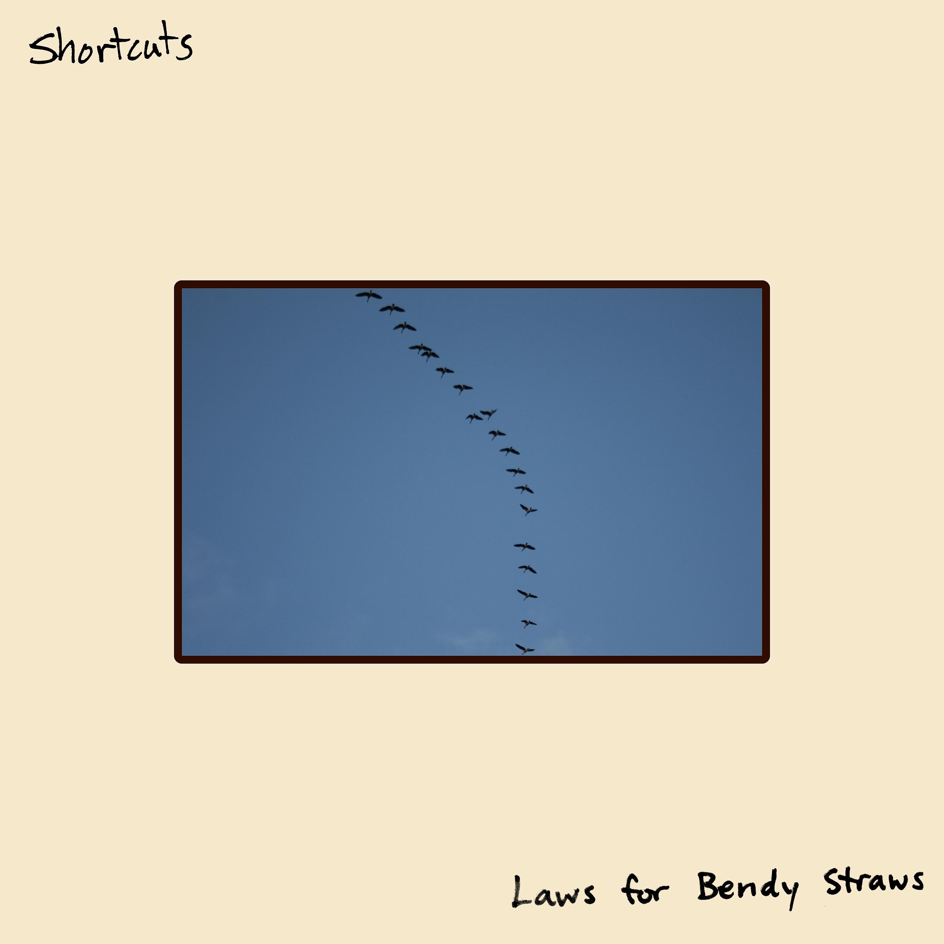 Постер альбома Laws for Bendy Straws
