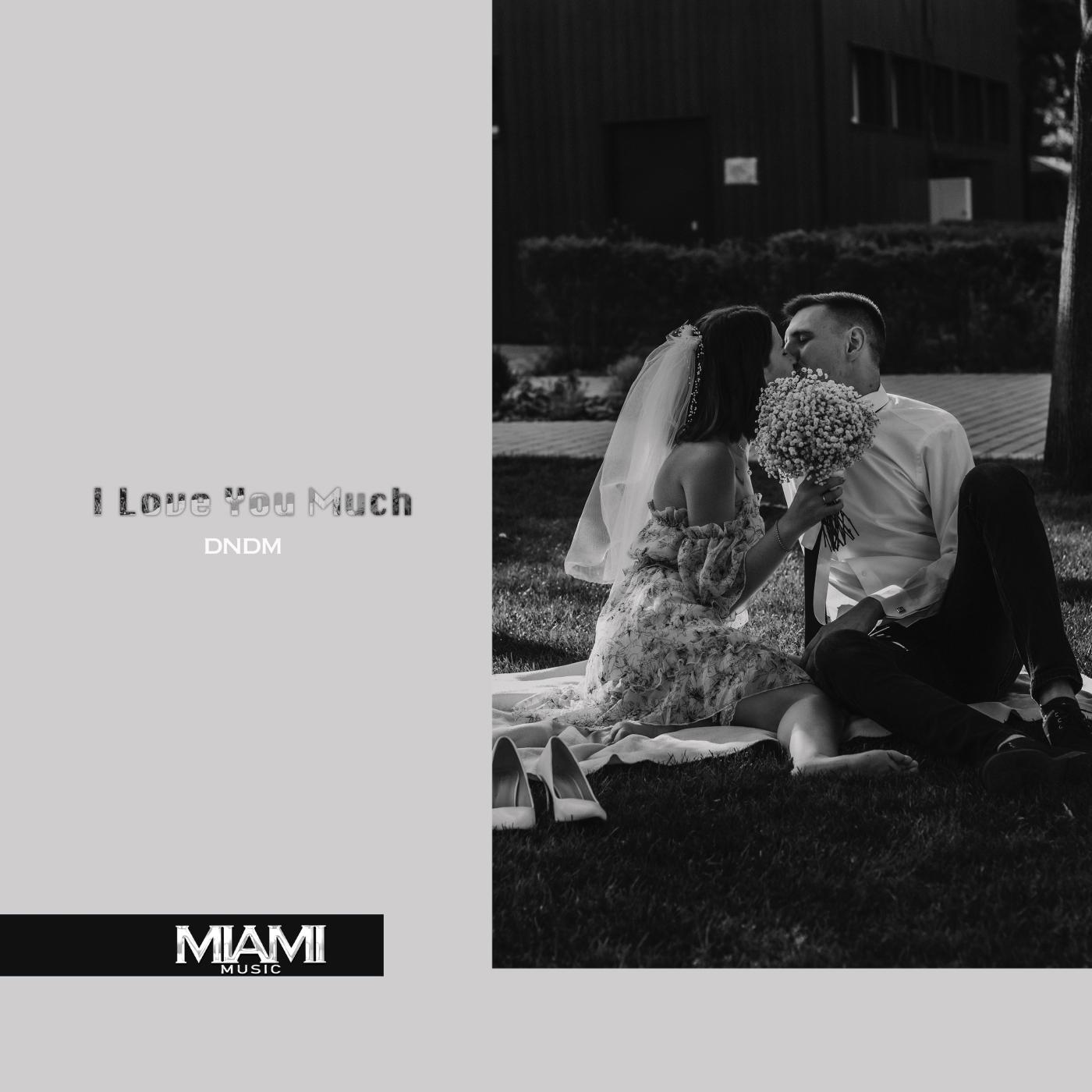 Постер альбома I Love You Much (Azimov Remix)