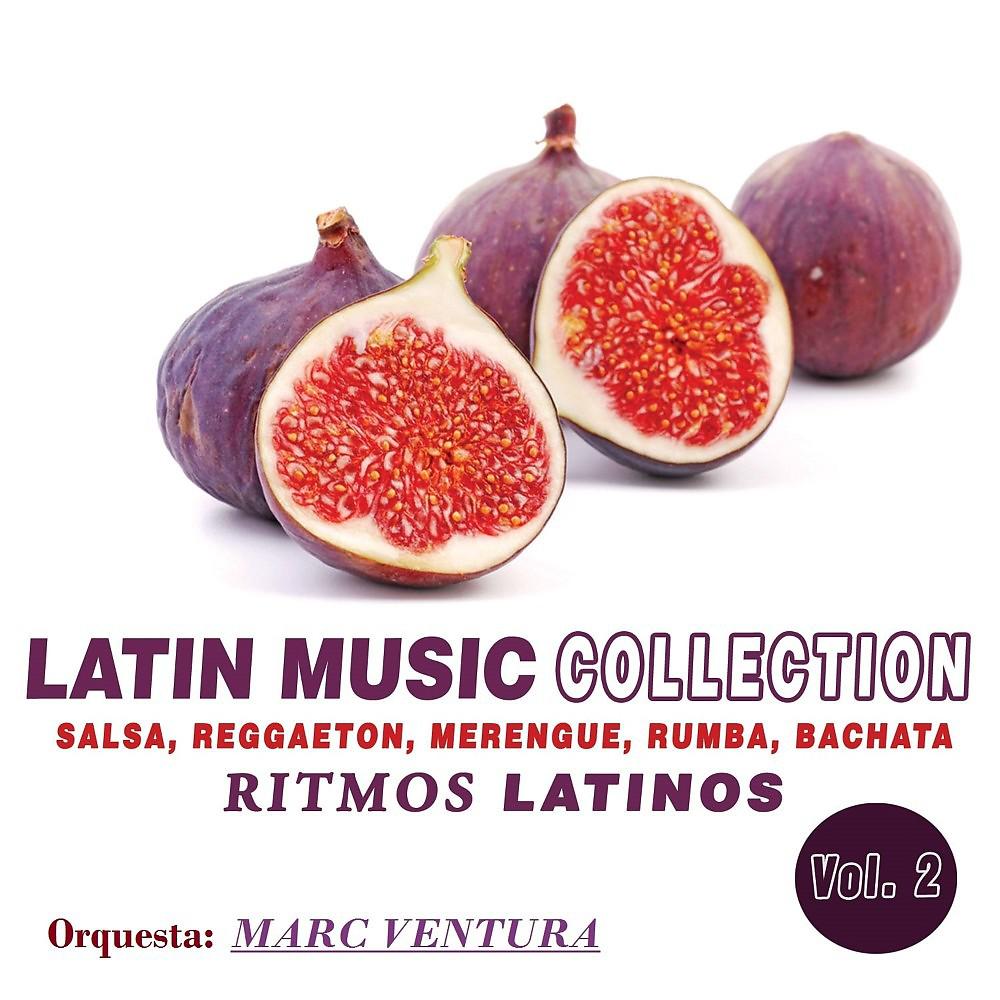 Постер альбома Latin Music Collection: Ritmos Latinos, Vol. 2 (Salsa, Reggaeton, Merengue, Rumba, Cumbia)