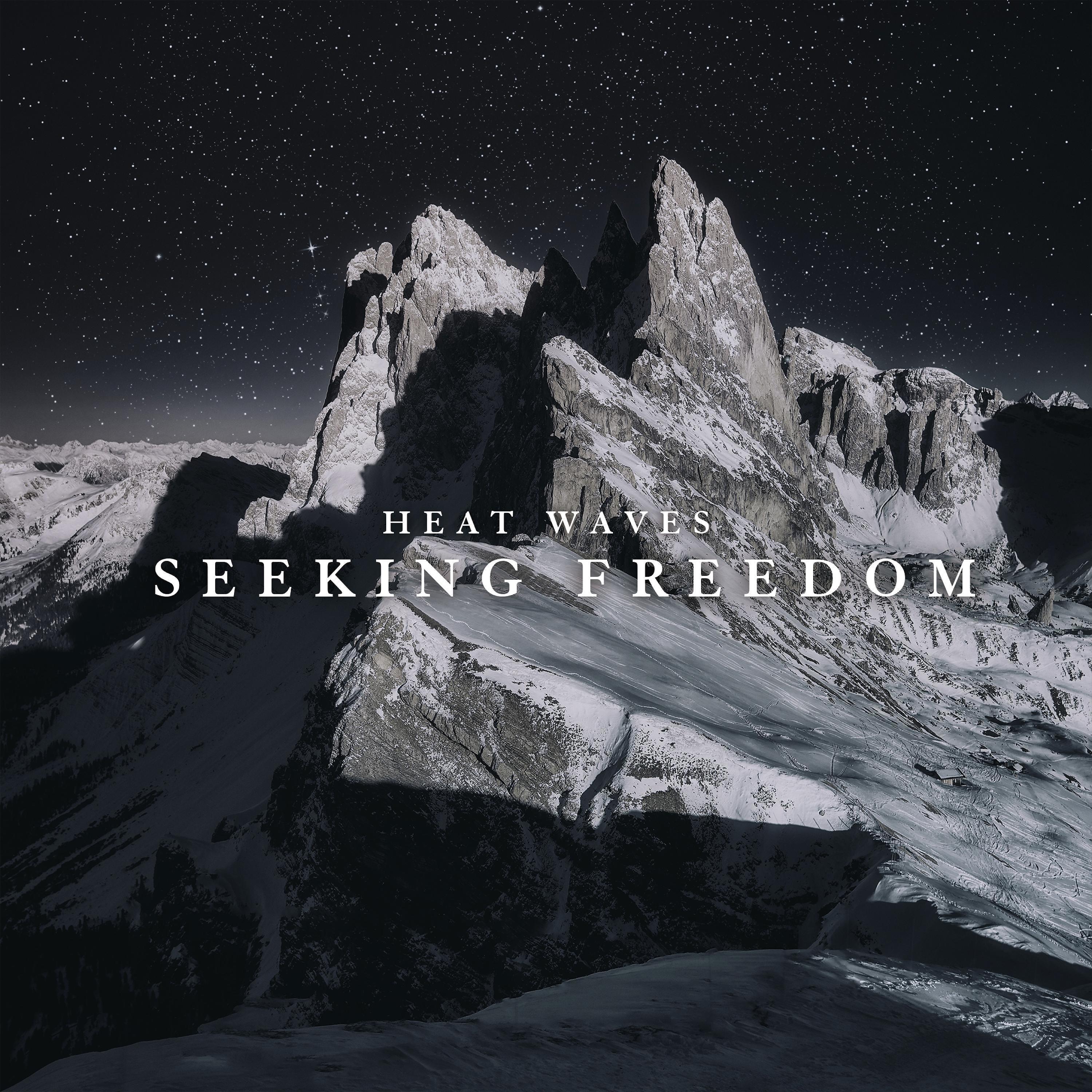Постер альбома Seeking Freedom