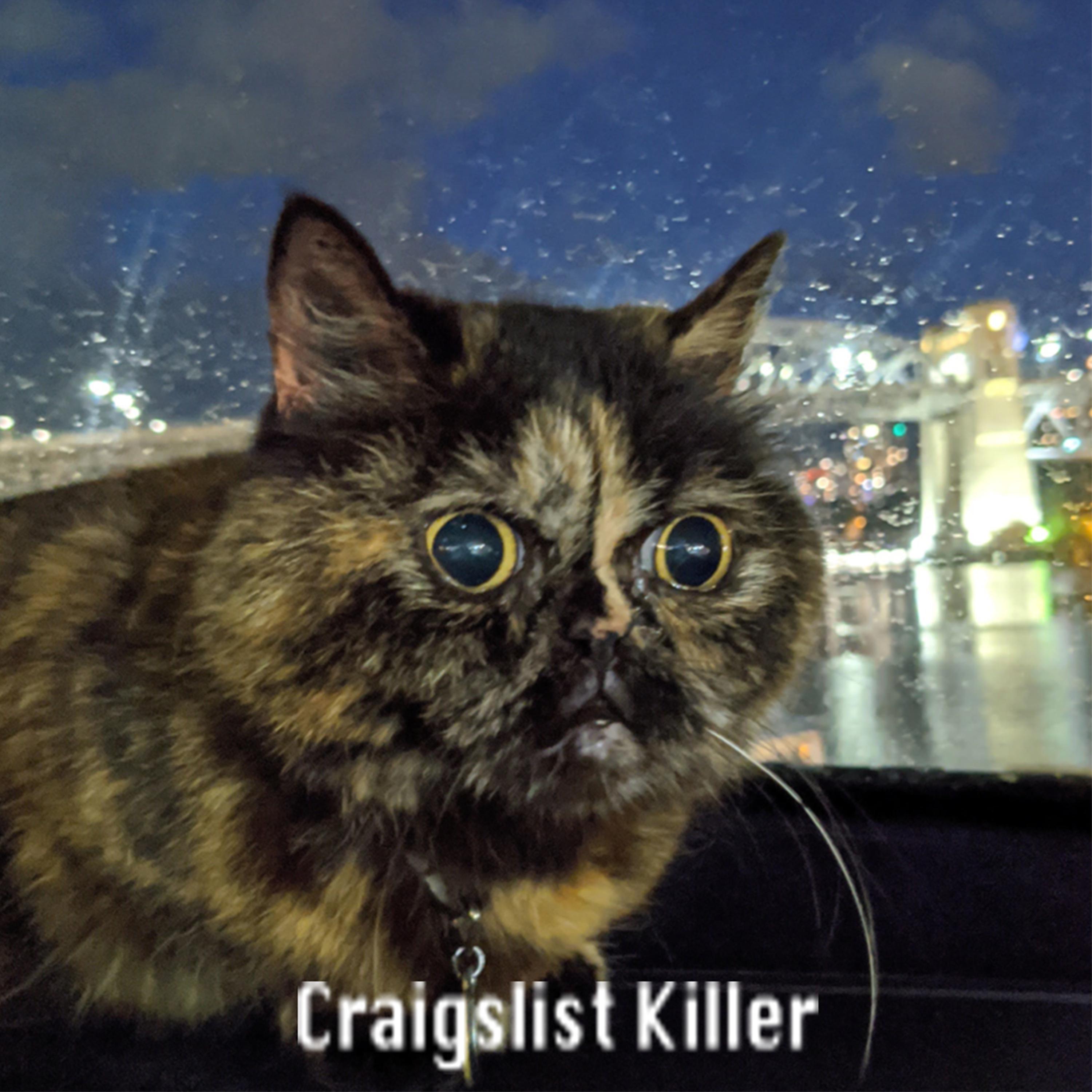 Постер альбома Craigslist Killer (feat. Chris Hyun)