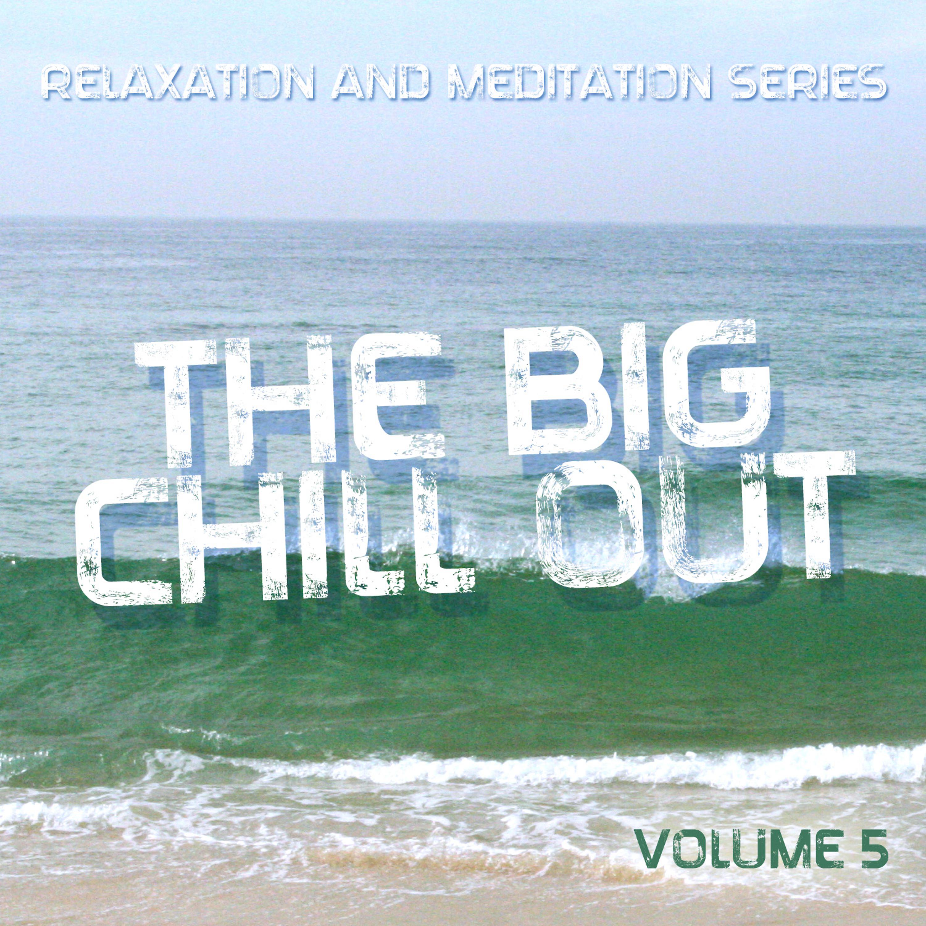 Постер альбома The Big Chill Out - Relaxation and Meditation Series, Vol. 5