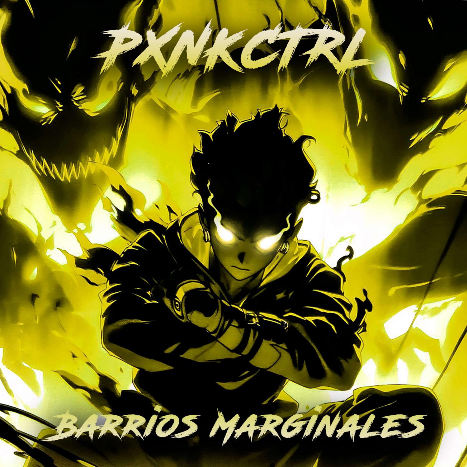 Постер альбома BARRIOS MARGINALES