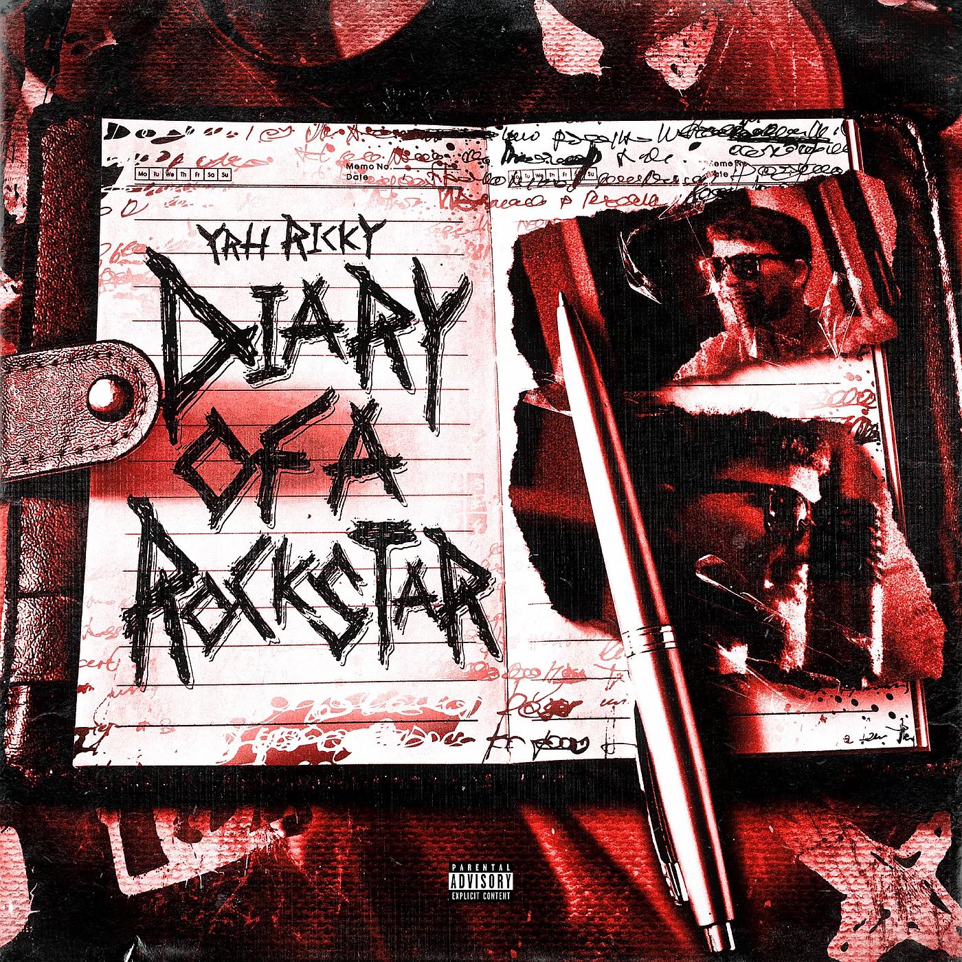 Постер альбома Diary of a Rockstar