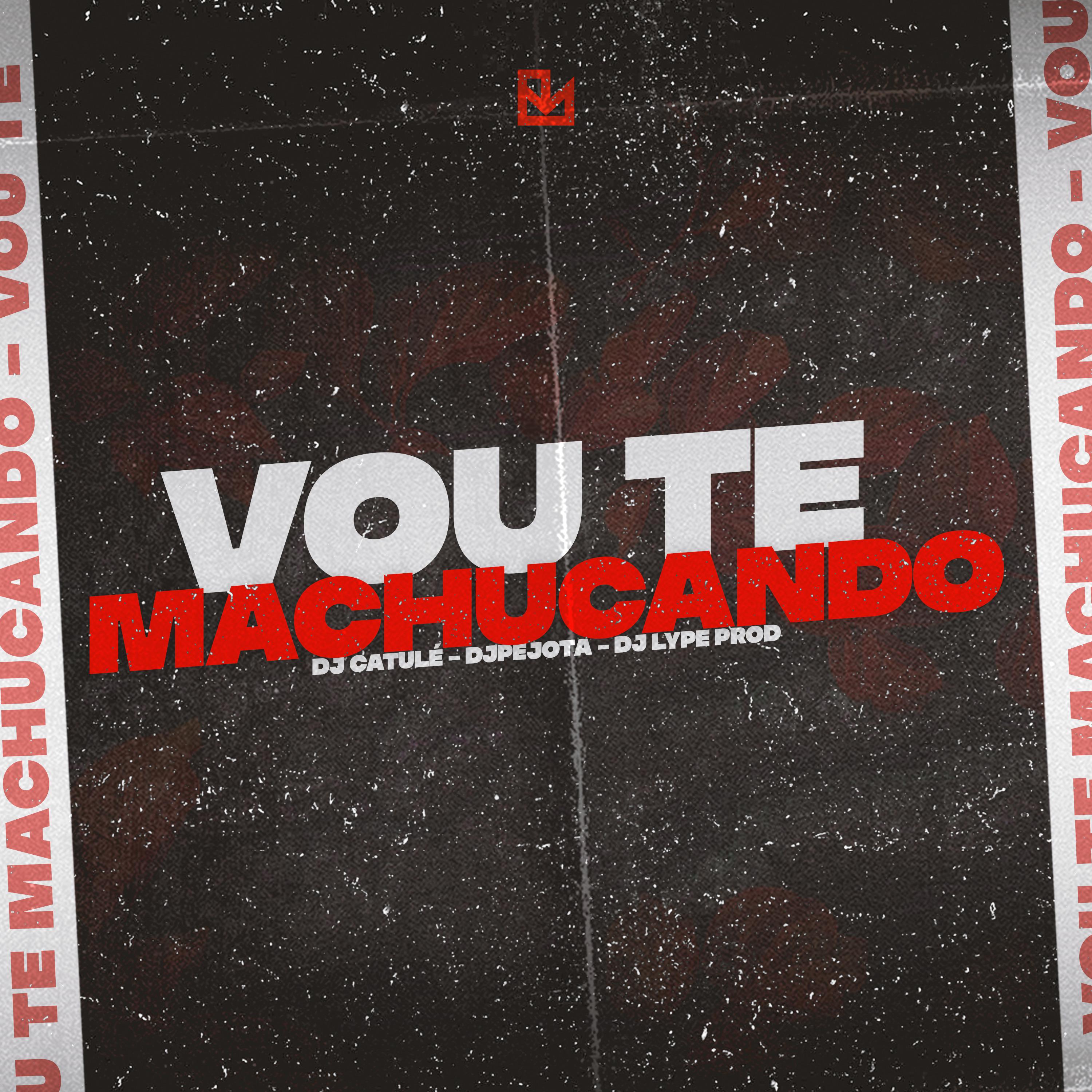 Постер альбома Vou Te Machucando