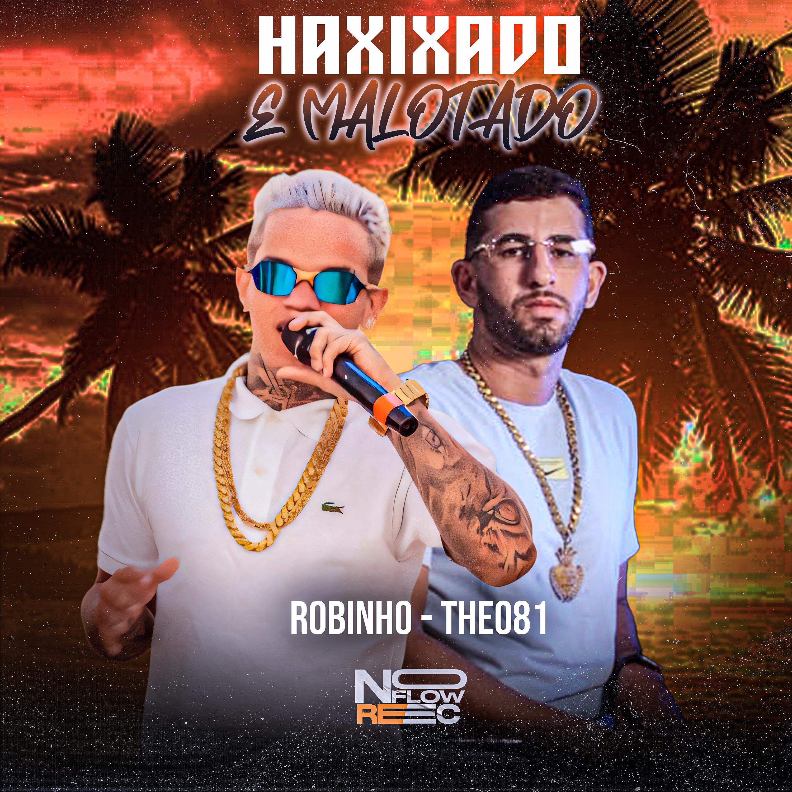 Постер альбома Haxixado e Malotado