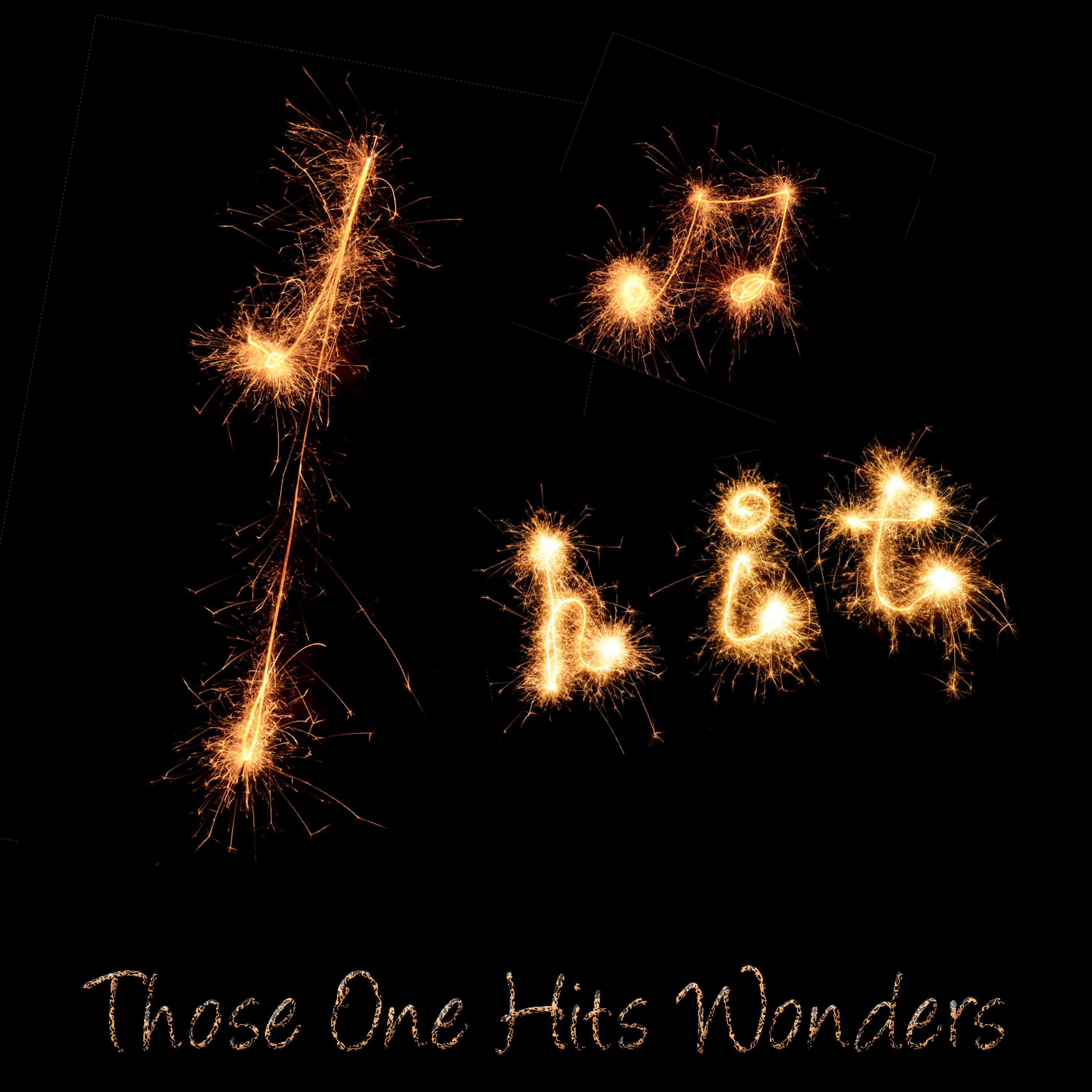 Постер альбома Just Those One Hit Wonders