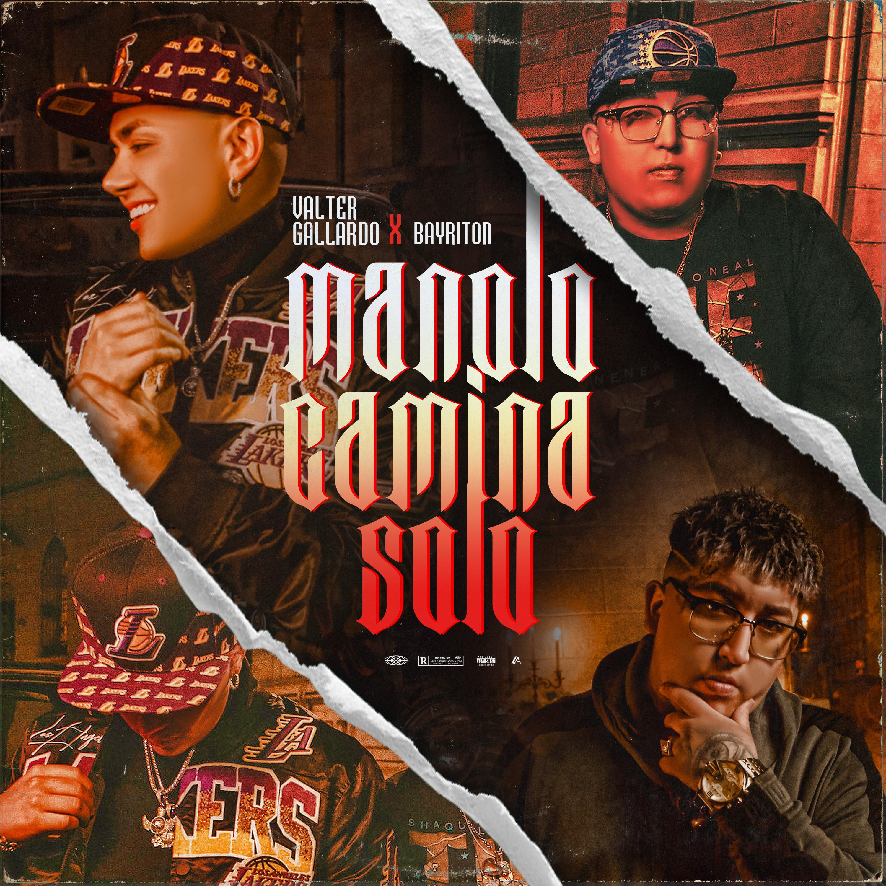 Постер альбома Manolo Camina Solo