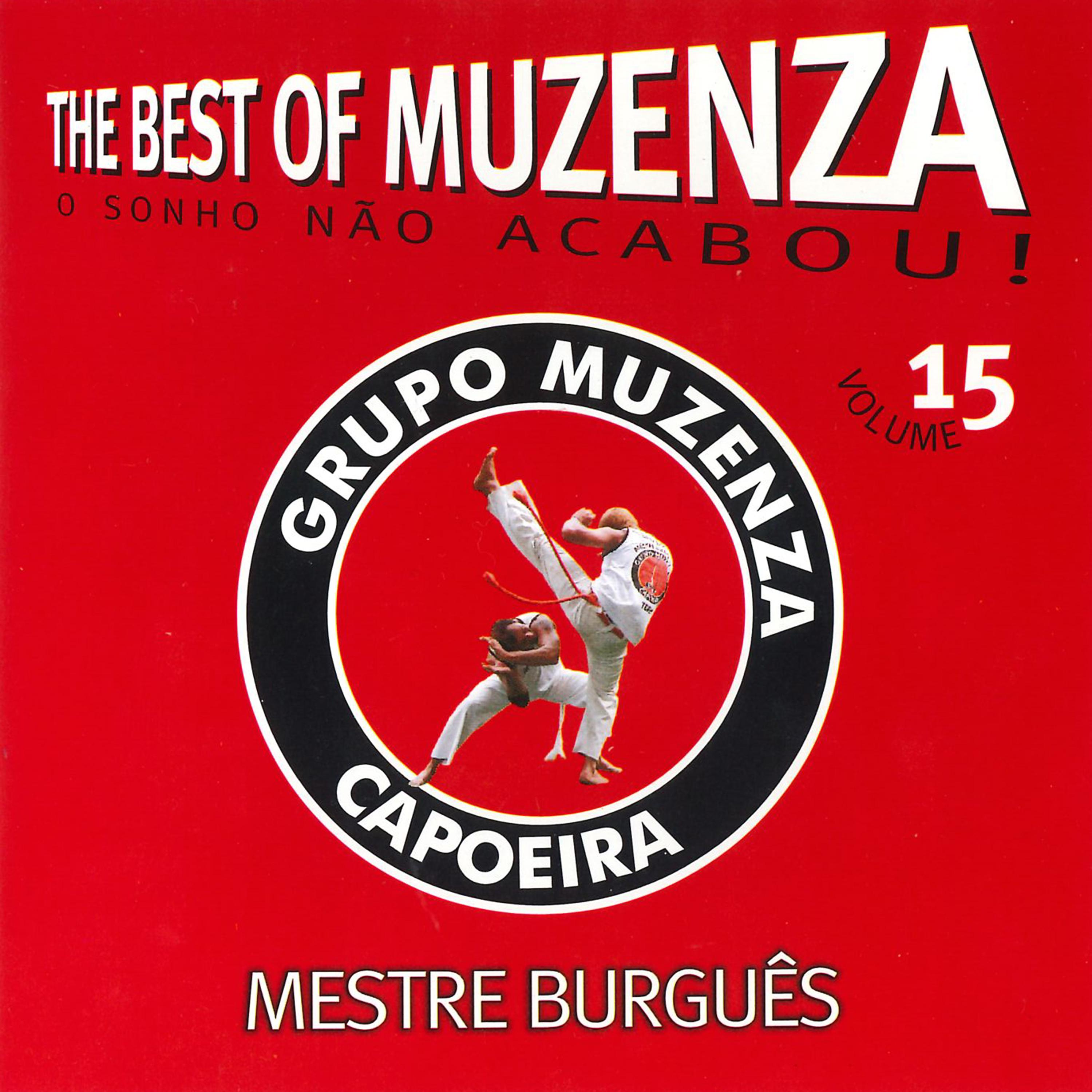 Постер альбома The Best Of Muzenza: O Sonho Não Acabou, Vol. 15