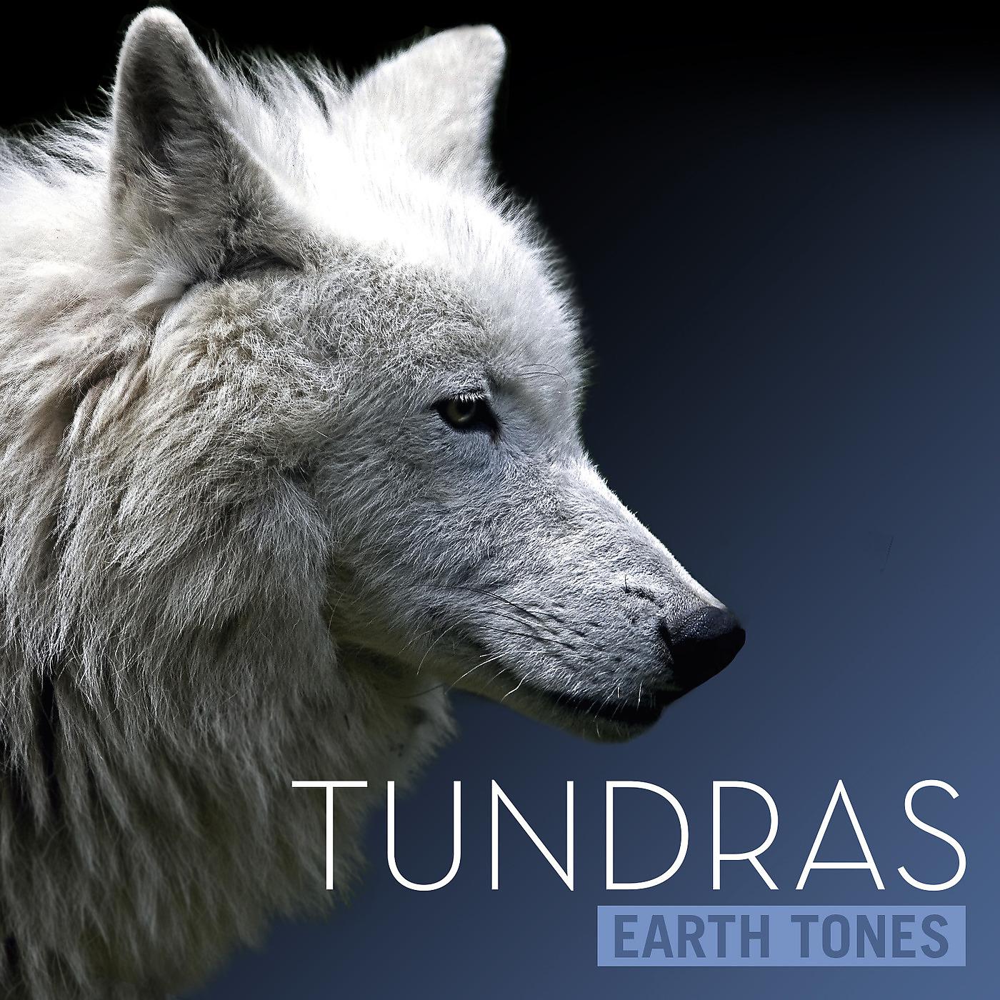 Постер альбома Earth Tones: Tundras