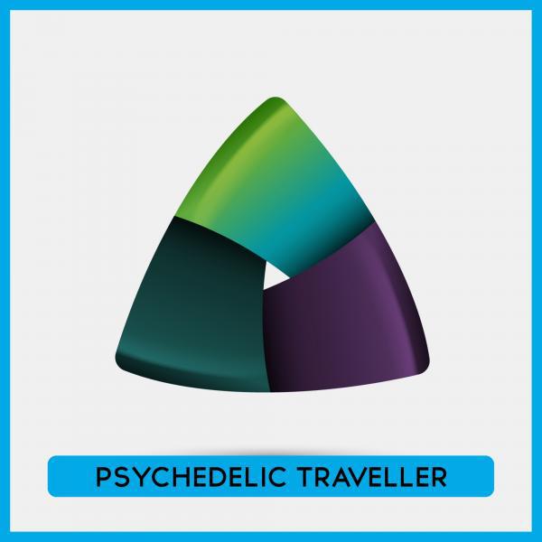 Постер альбома Psychedelic Traveller 2009