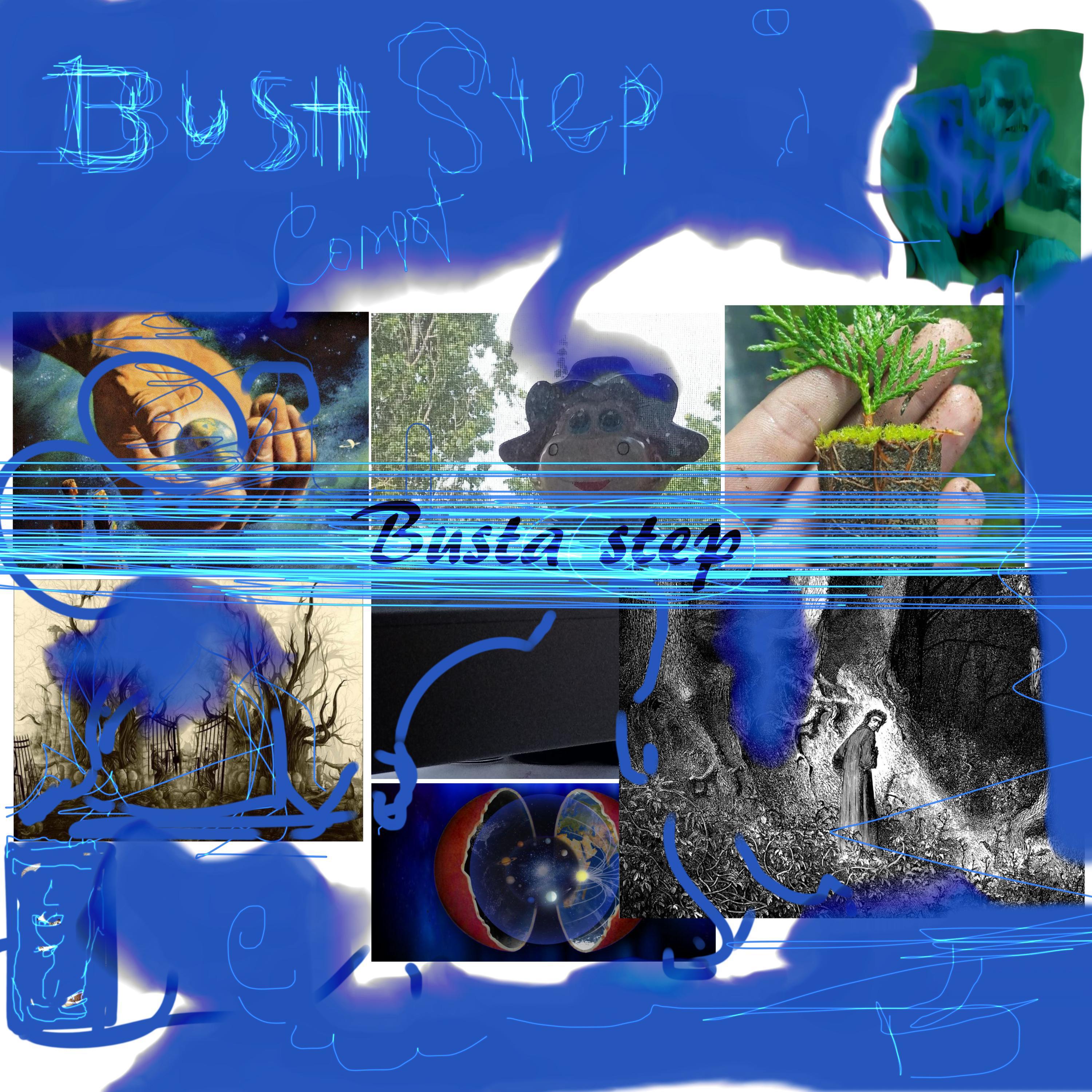 Постер альбома Busta Step