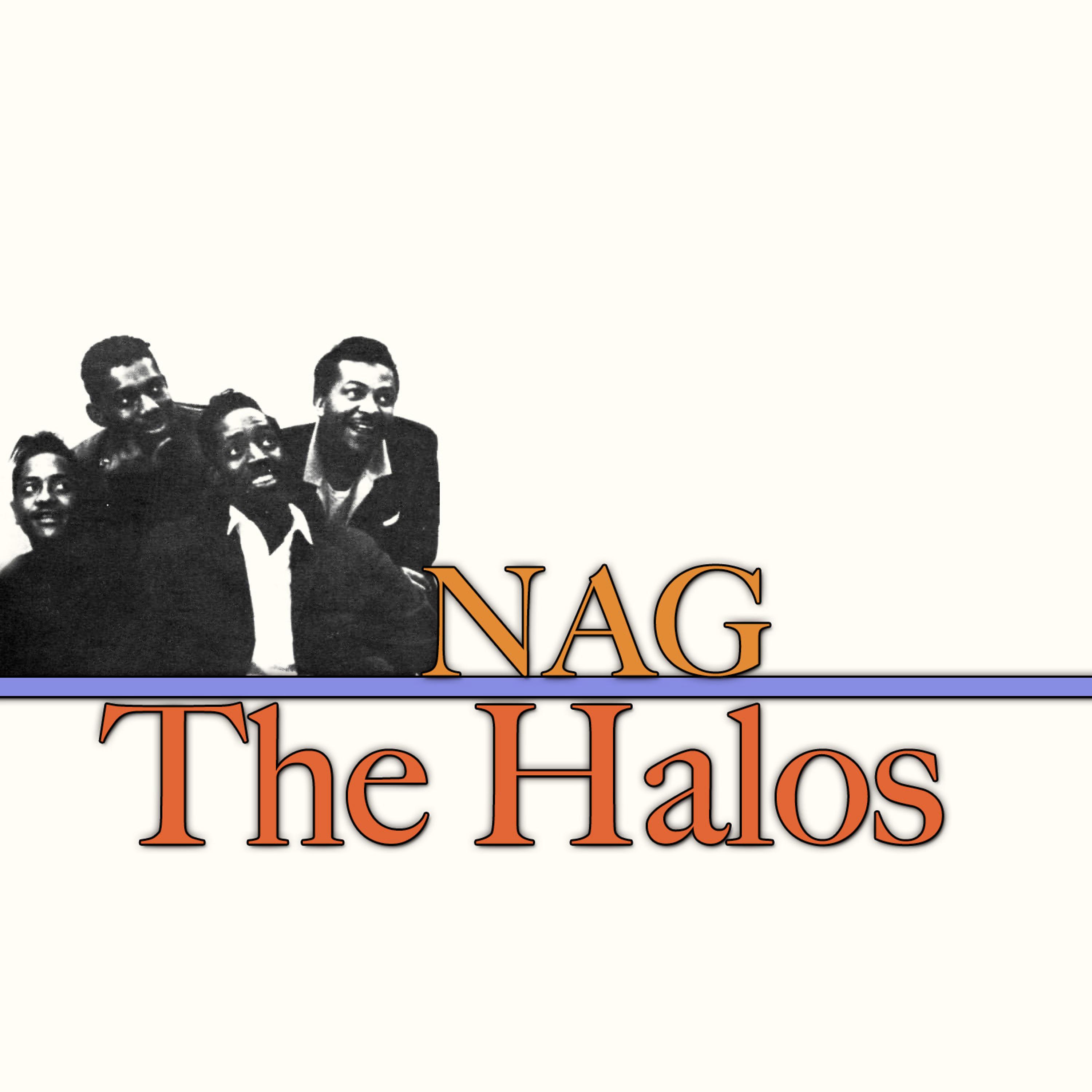 Постер альбома Nag