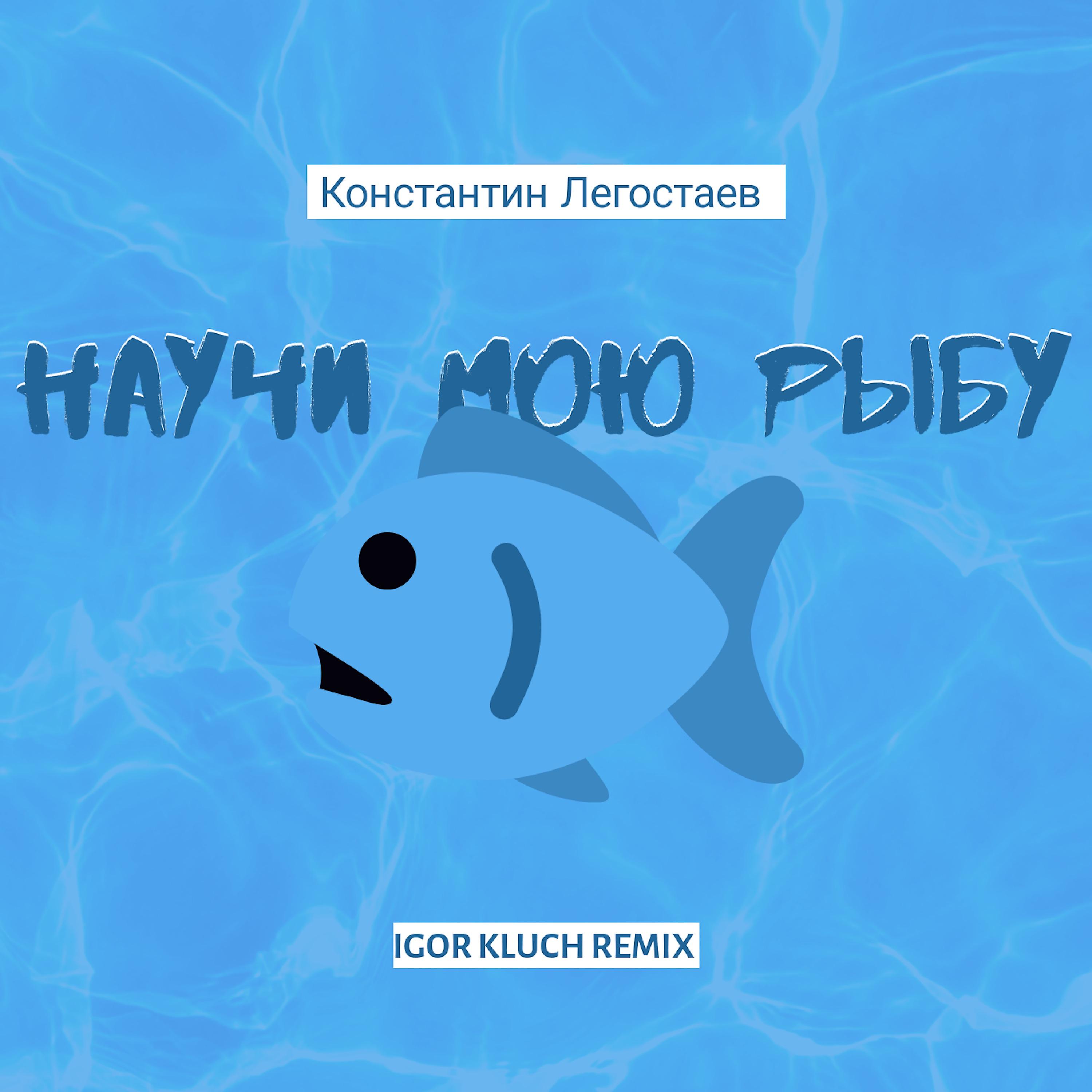 Постер альбома Научи мою рыбу (Igor Kluch Remix)