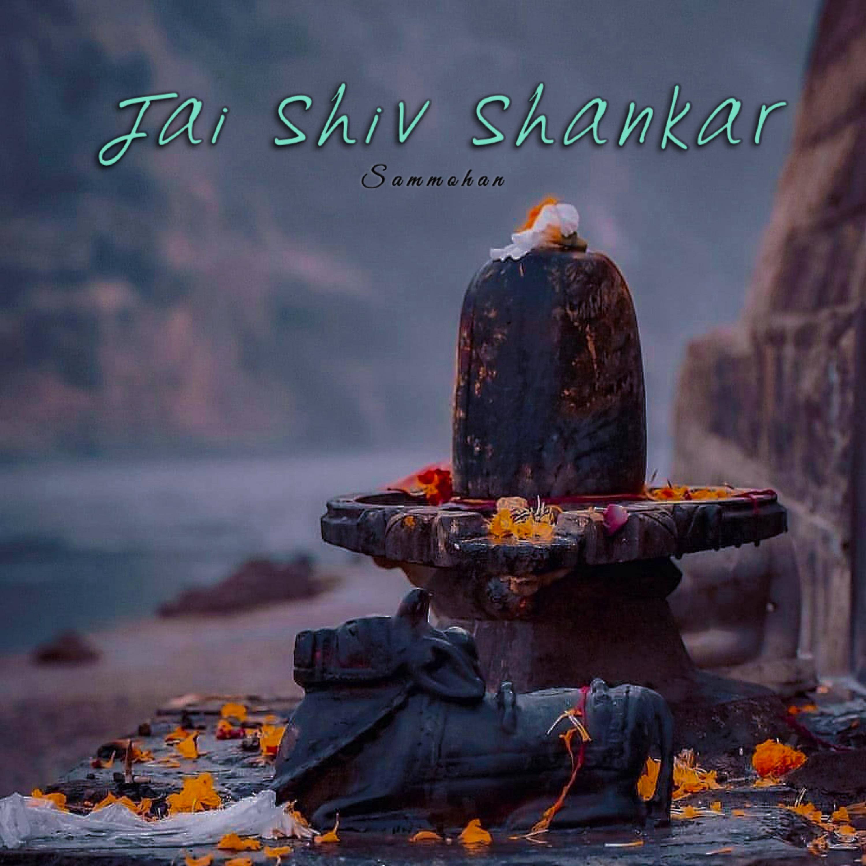 Постер альбома Jai Shiv Shankar