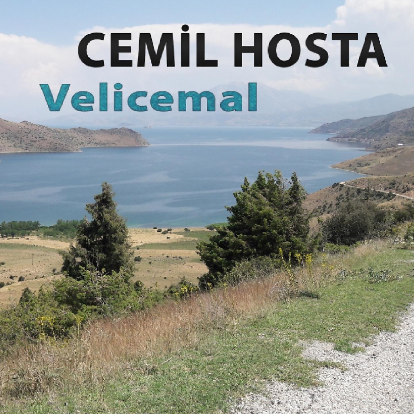 Постер альбома Velicemal