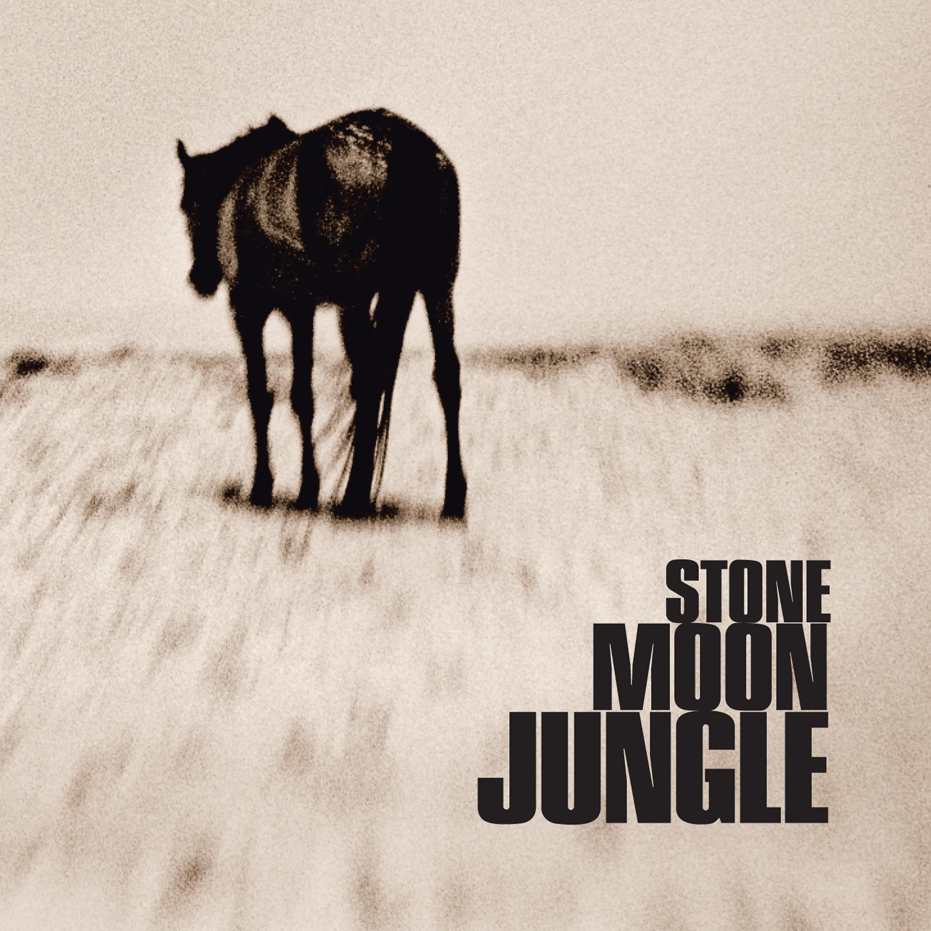 Постер альбома Stone Moon Jungle