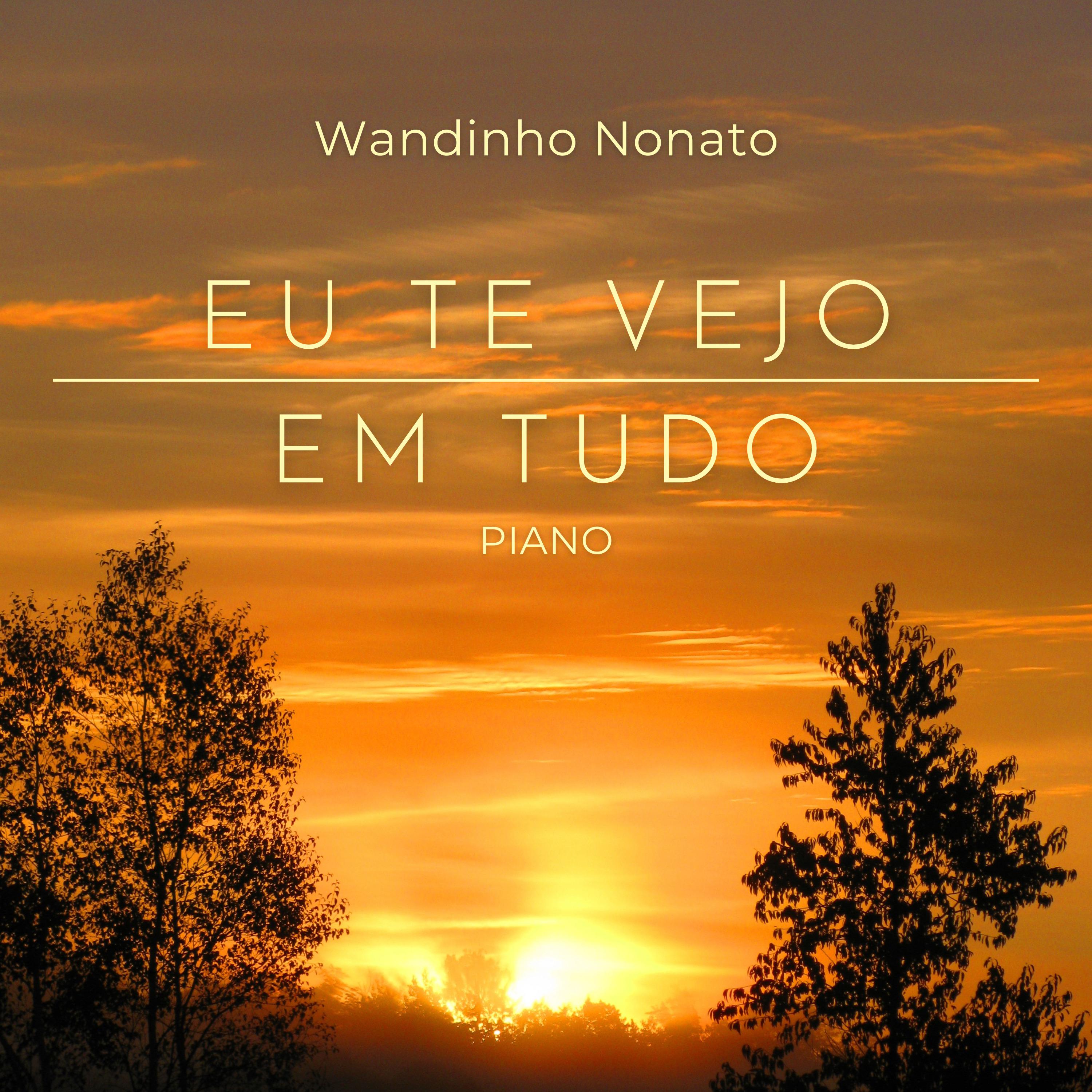 Постер альбома Eu Te Vejo em Tudo (Piano)