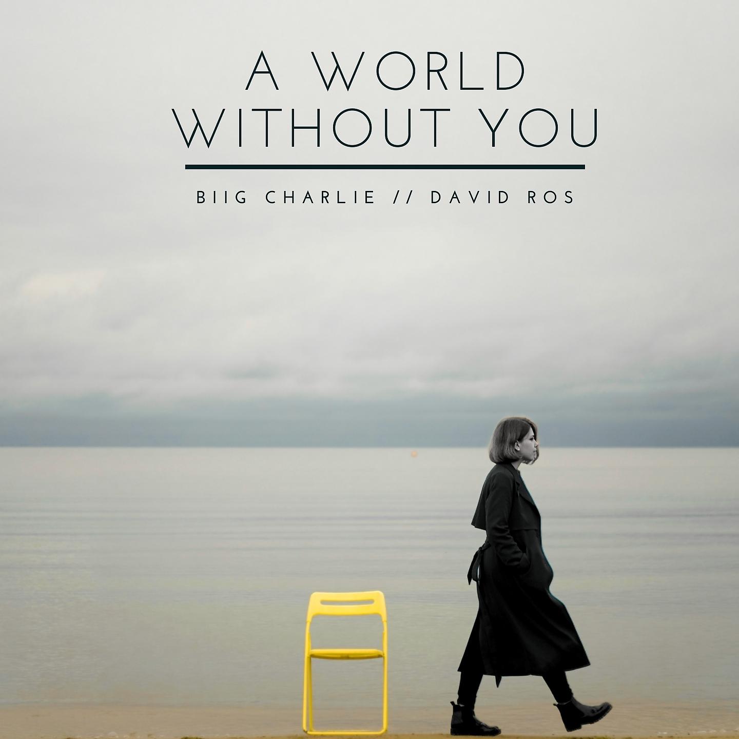 Постер альбома A World Without You