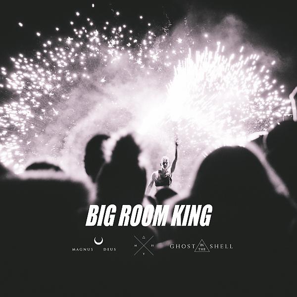 Постер альбома Big Room King