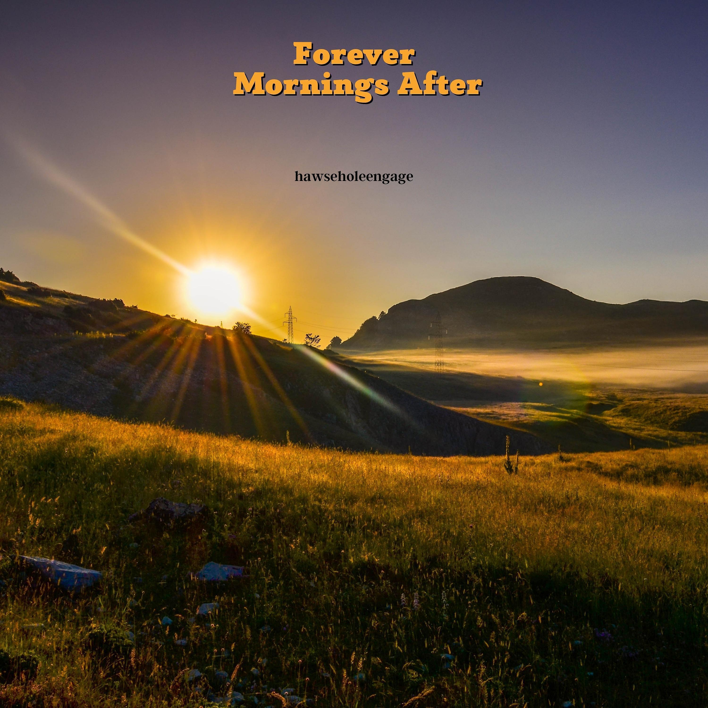 Постер альбома Forever Mornings after
