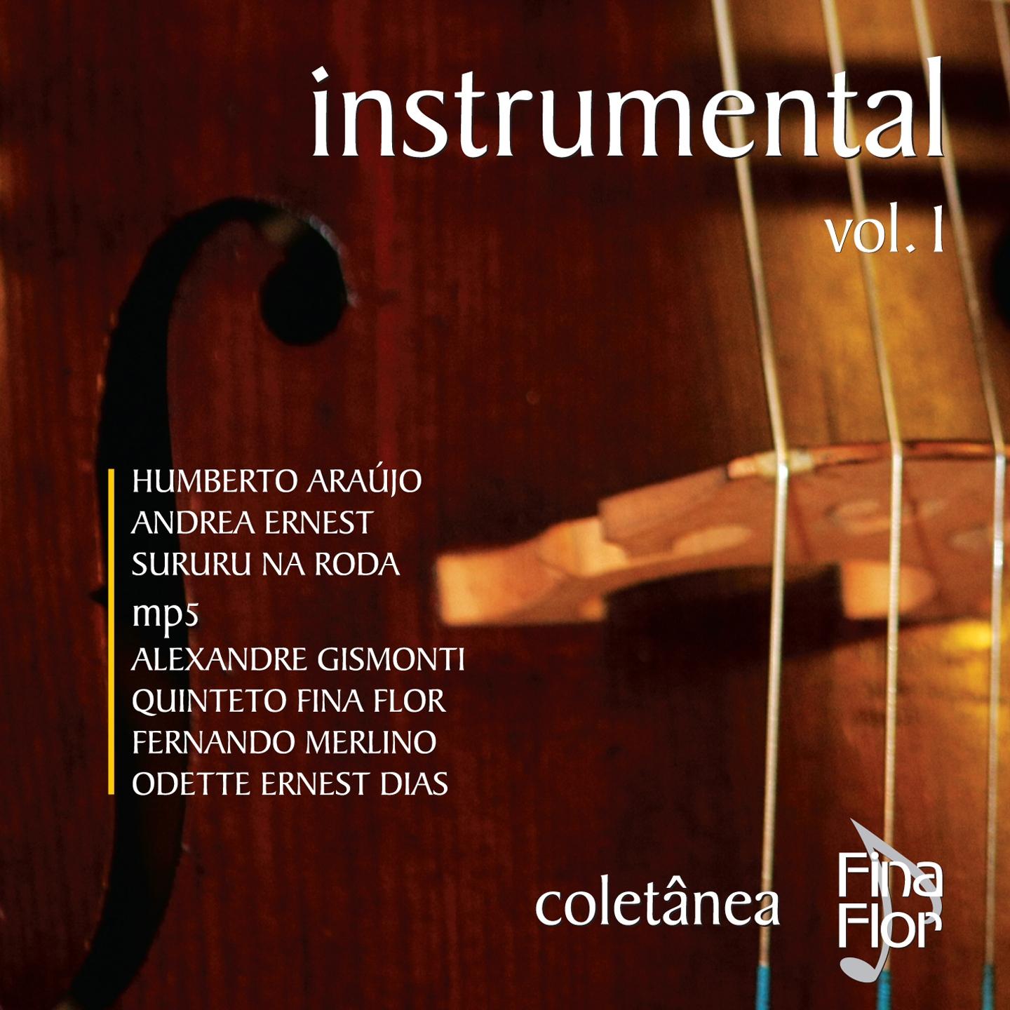 Постер альбома Coletânea Fina Flor Instrumental