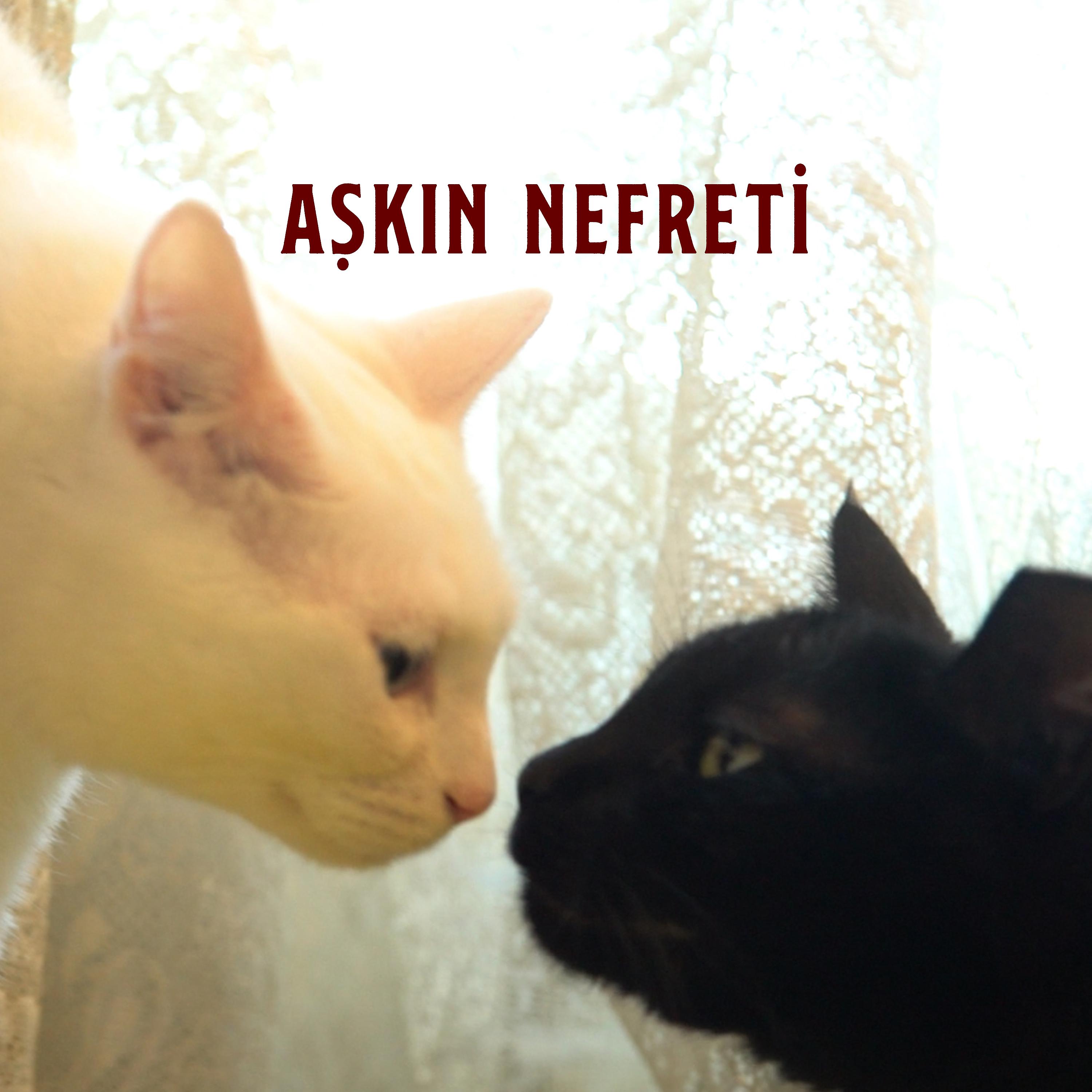 Постер альбома Aşkın Nefreti