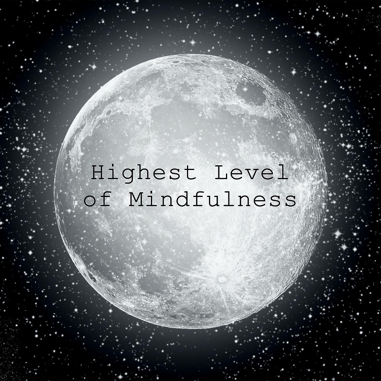 Постер альбома Highest Level of Mindfulness