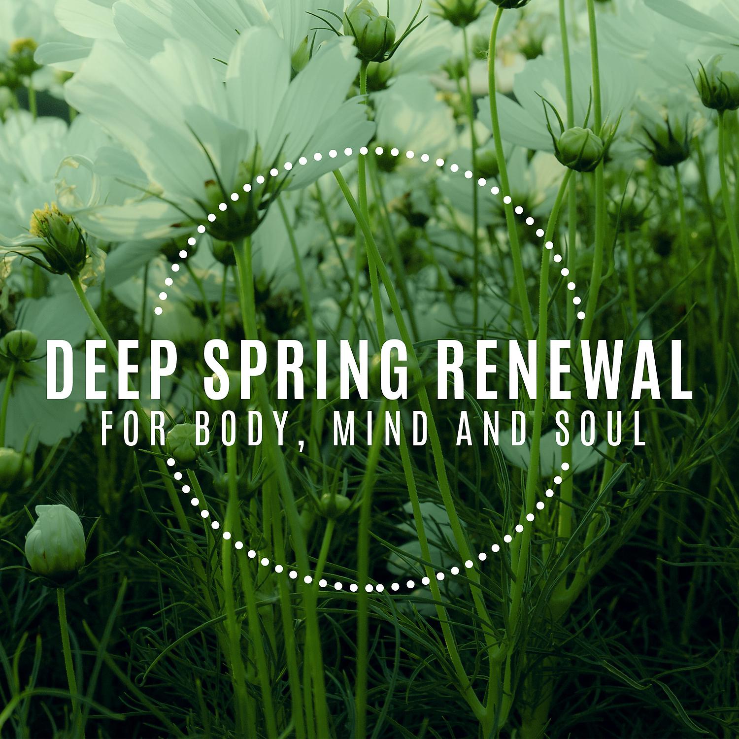 Постер альбома Deep Spring Renewal for Body, Mind and Soul: Relaxing Nature Music to Revive Your Inner Resources