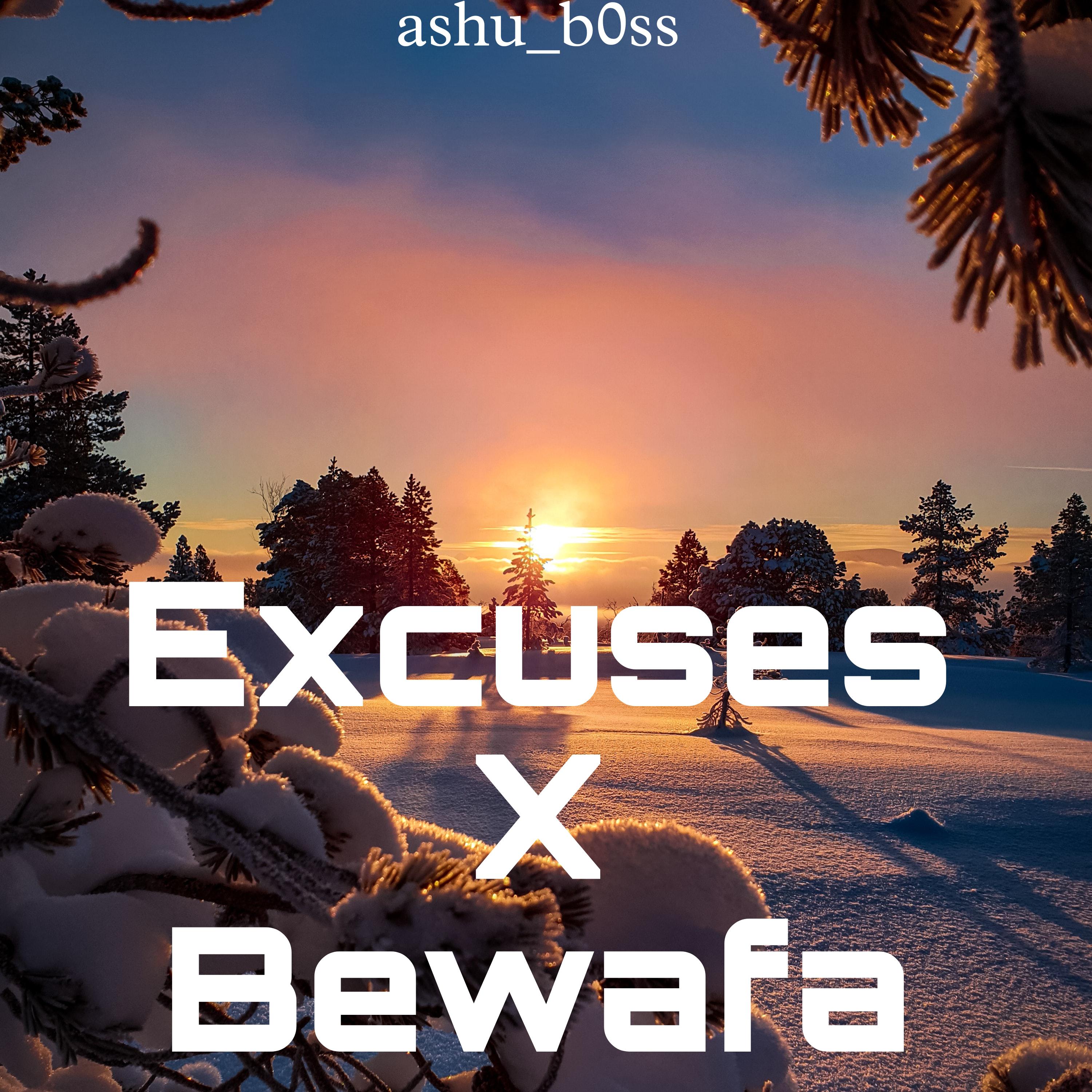 Постер альбома Excuses X Bewafa