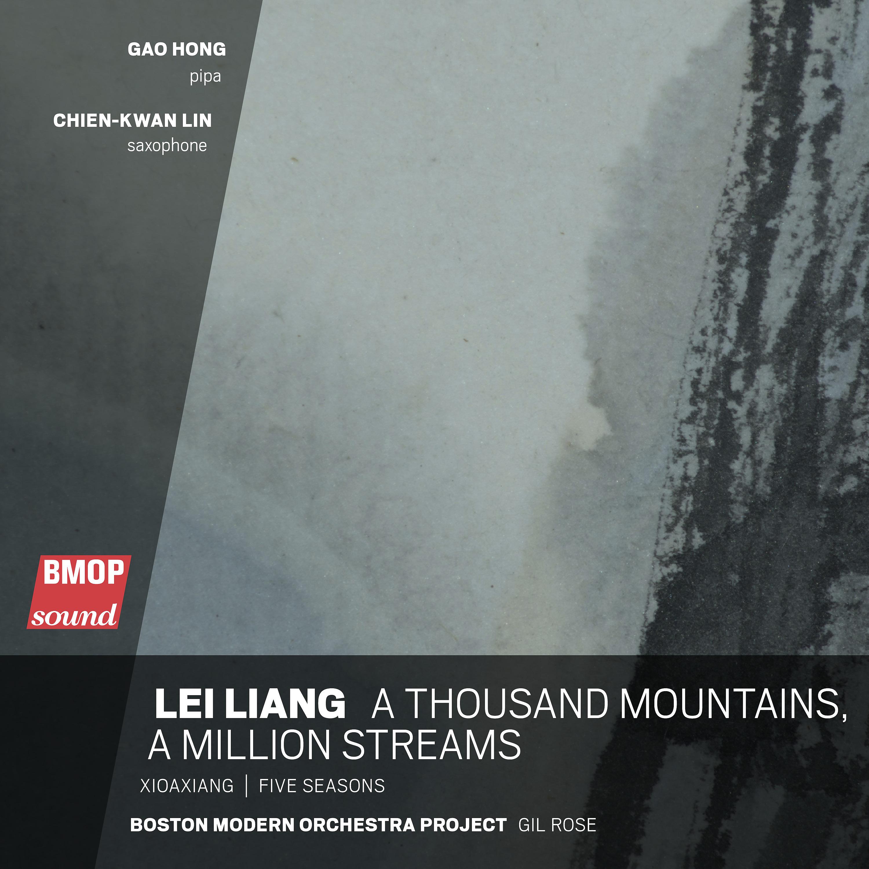 Постер альбома Lei Liang: A Thousand Mountains, A Million Streams
