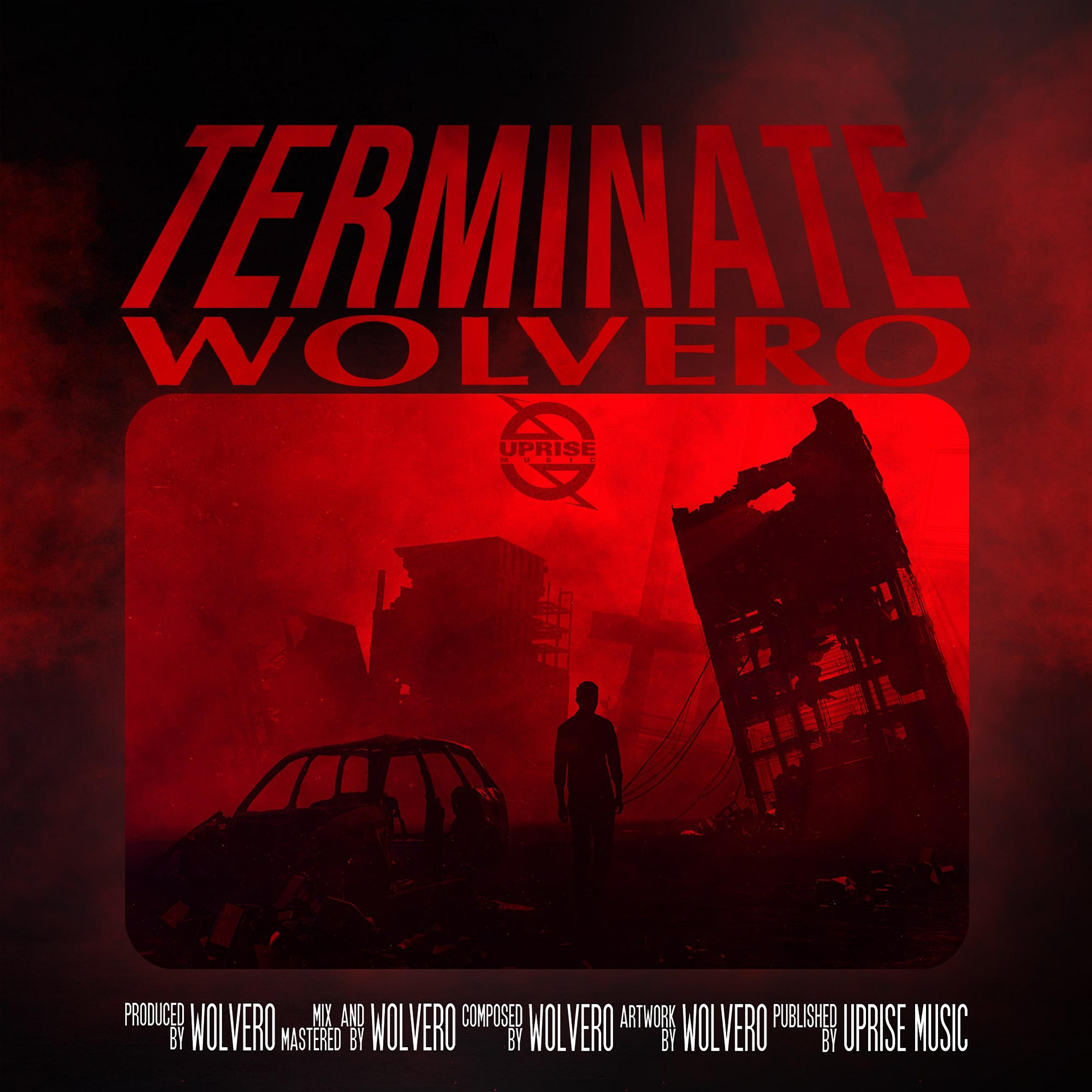 Постер альбома Terminate