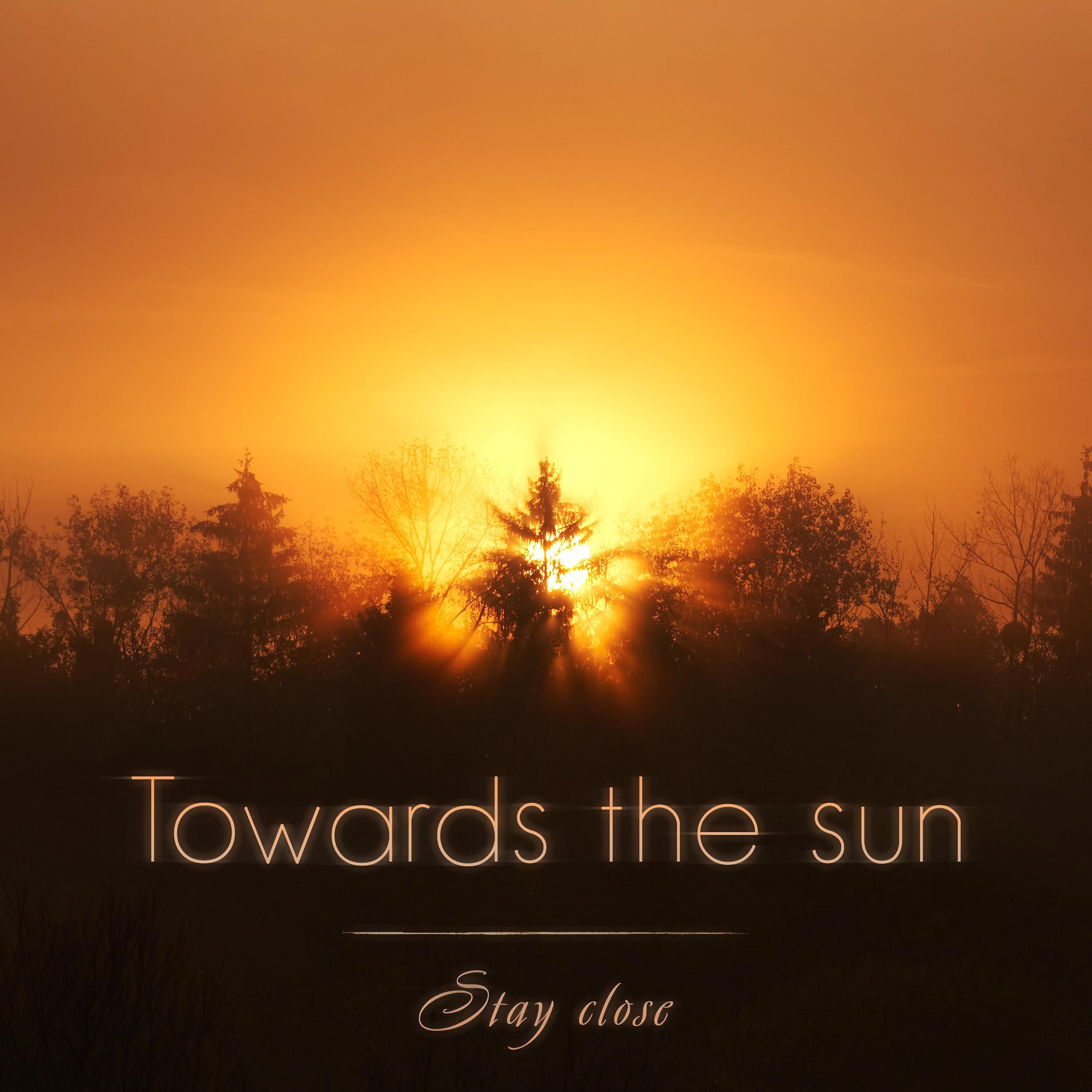 Постер альбома Towards the sun