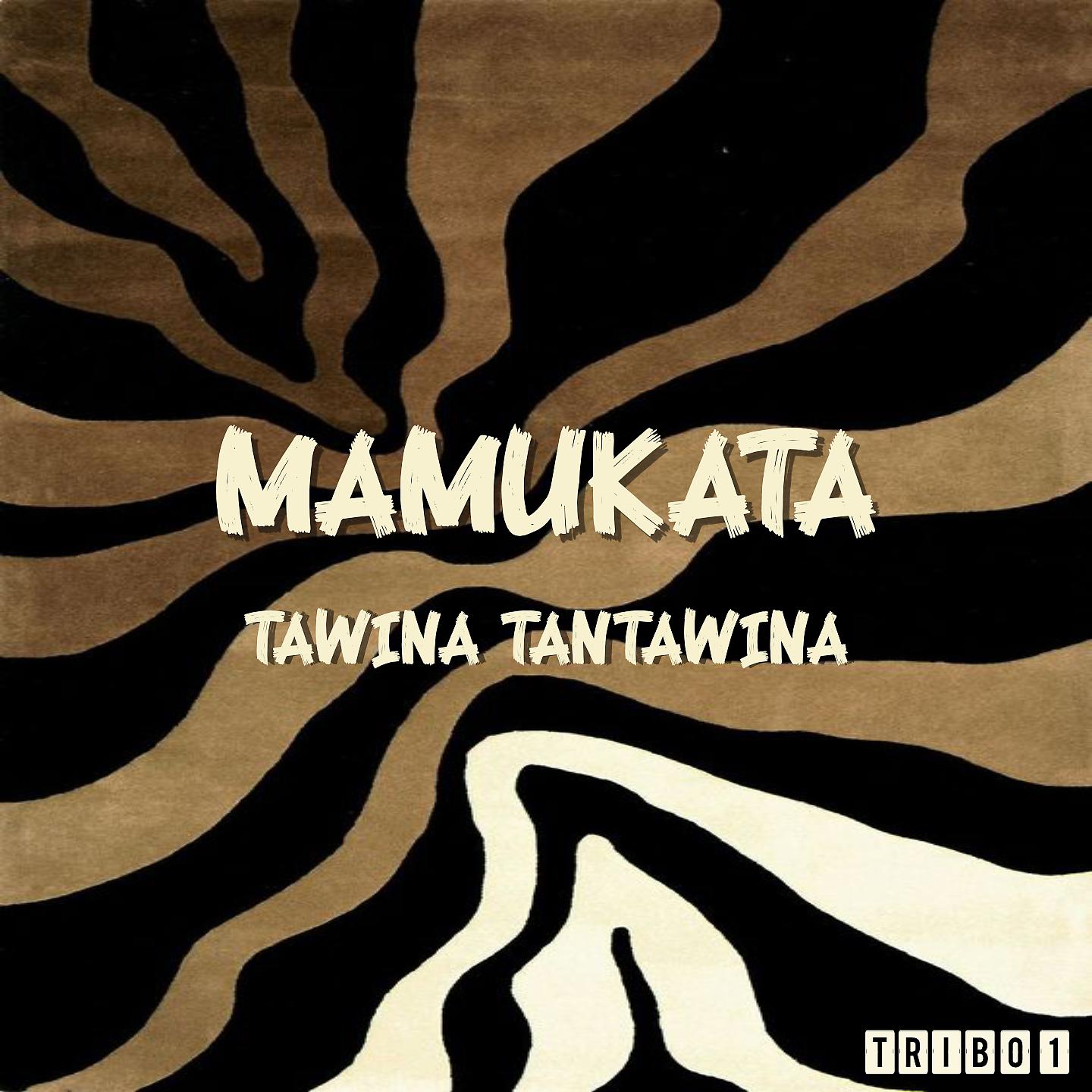 Постер альбома Tawina Tantawina
