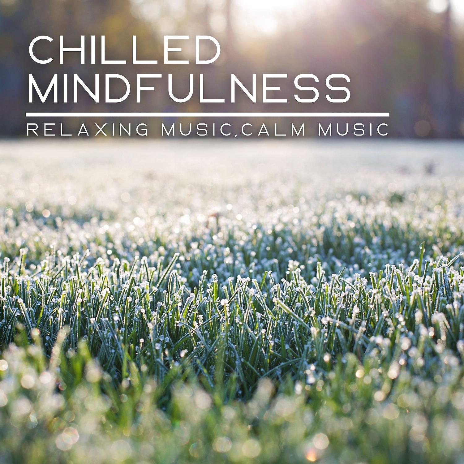 Постер альбома Chilled Mindfulness