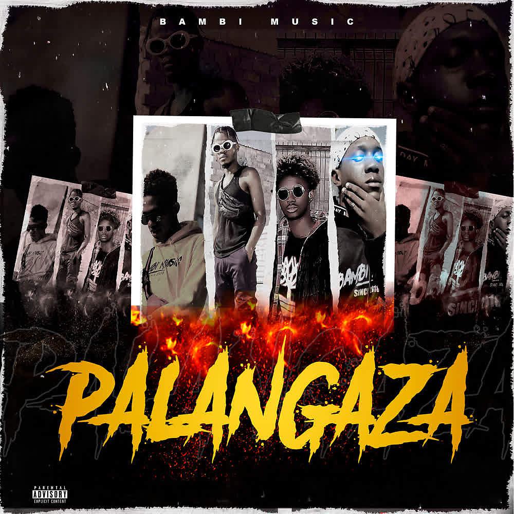 Постер альбома Palangaza