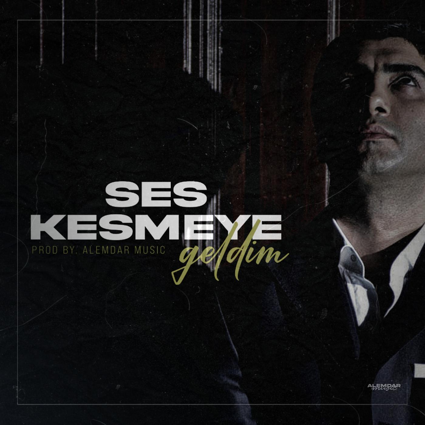 Постер альбома Ses Kesmeye Geldim