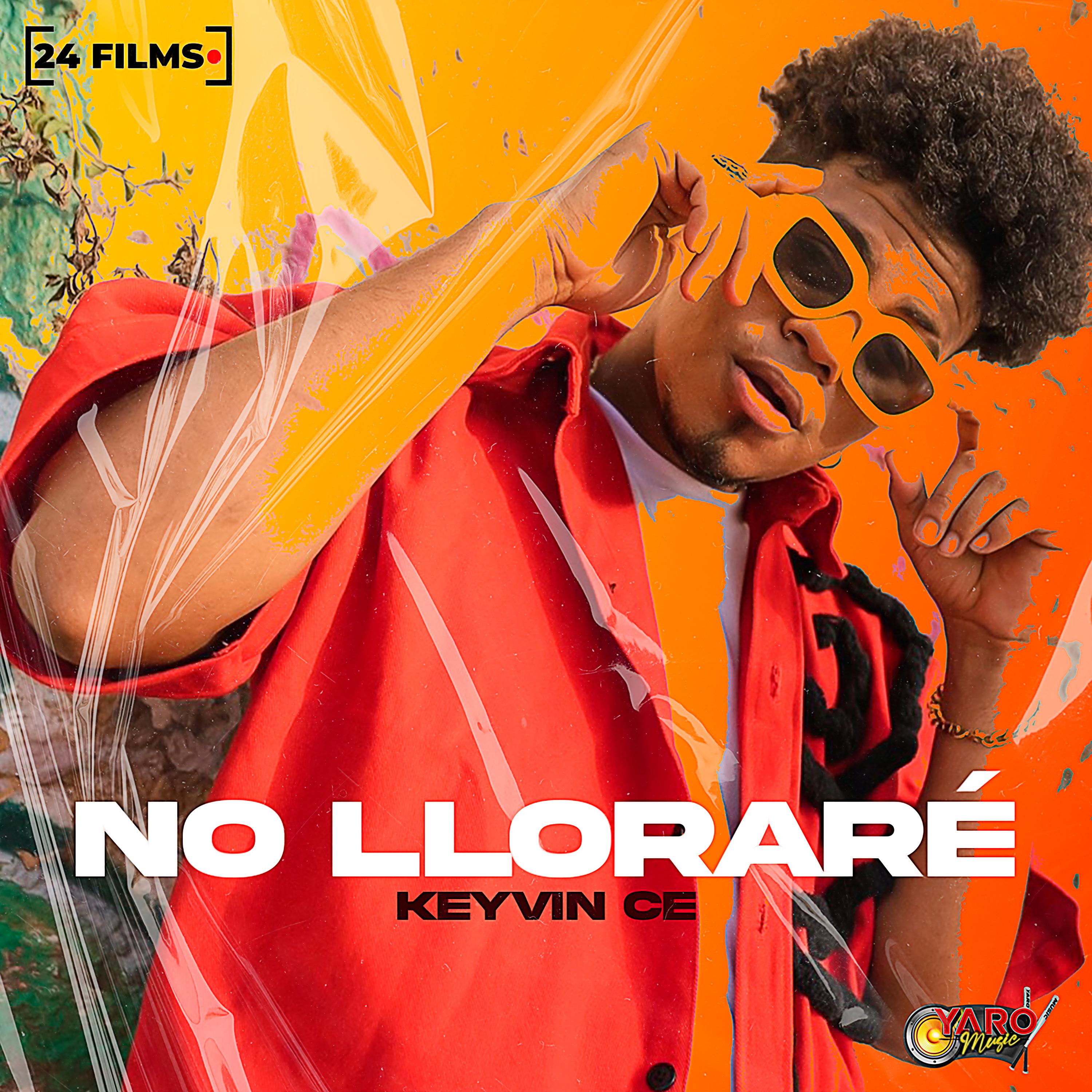 Постер альбома No Lloraré