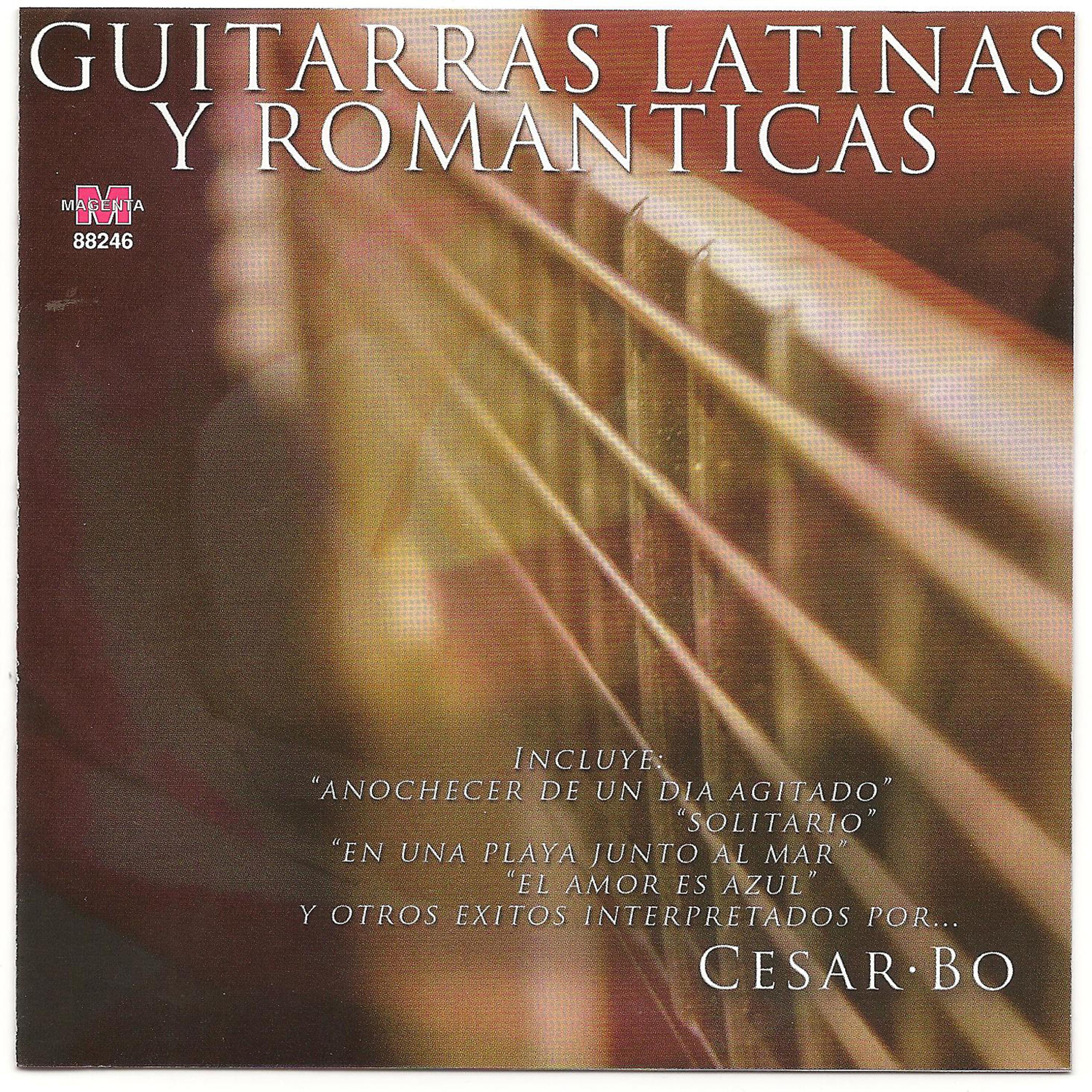 Постер альбома Guitarras latinas y romanticas