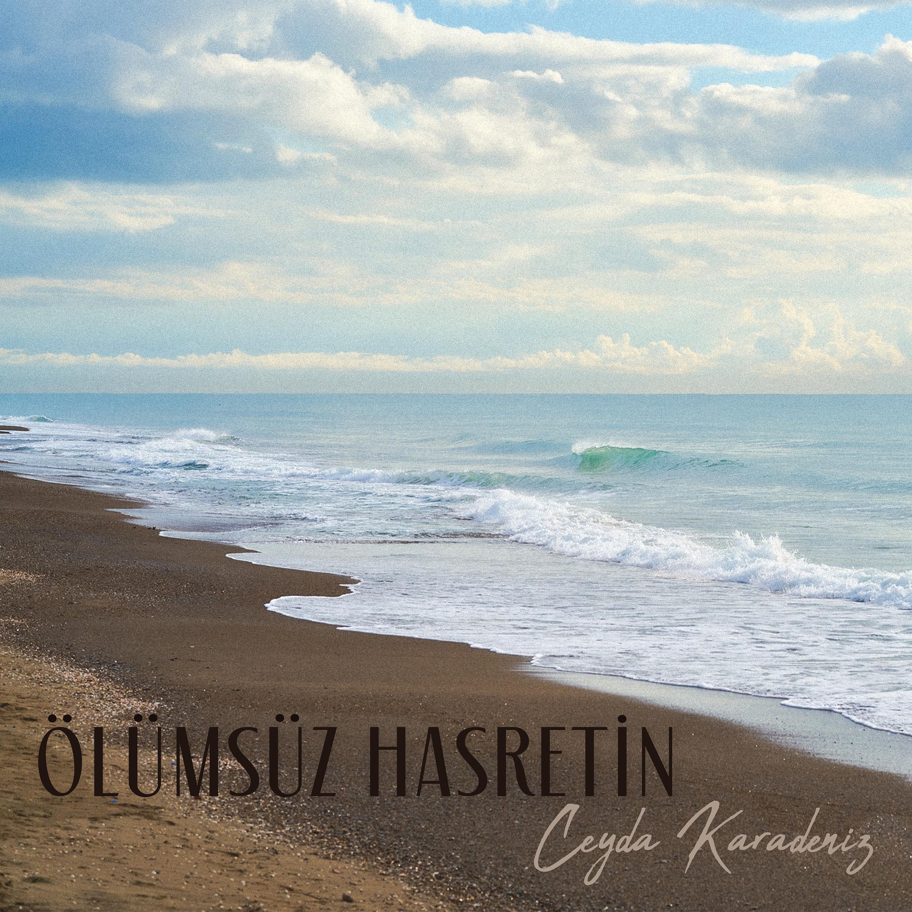 Постер альбома Ölümsüz Hasretin