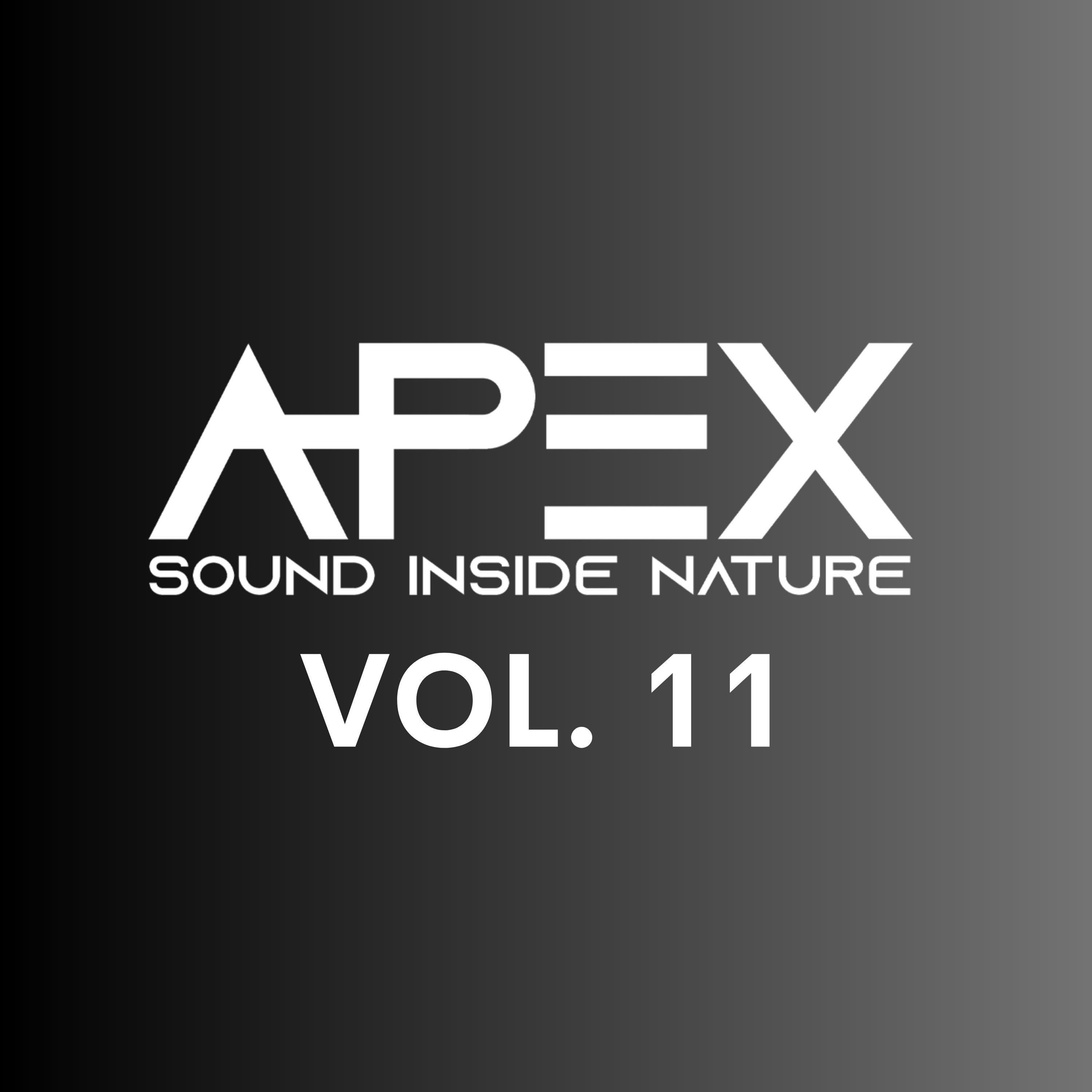 Постер альбома Apex Sound Inside Nature, Vol. 11