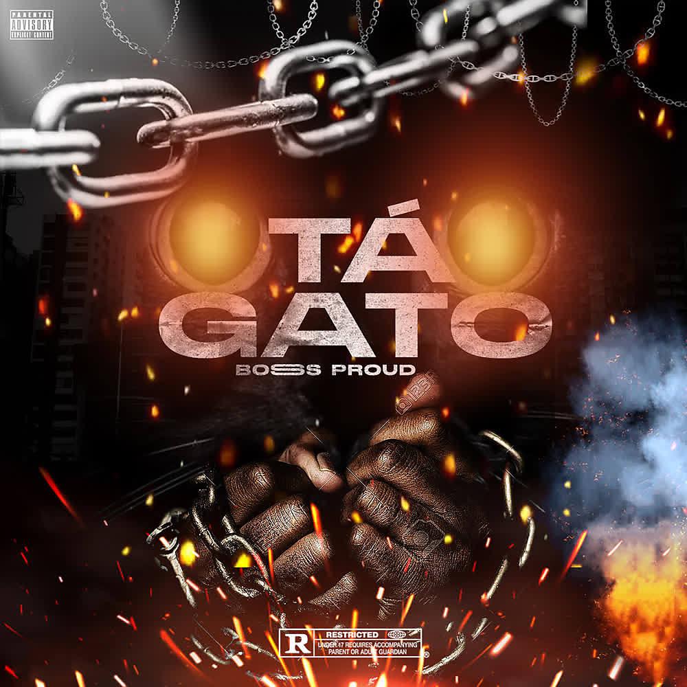 Постер альбома Tá Gato