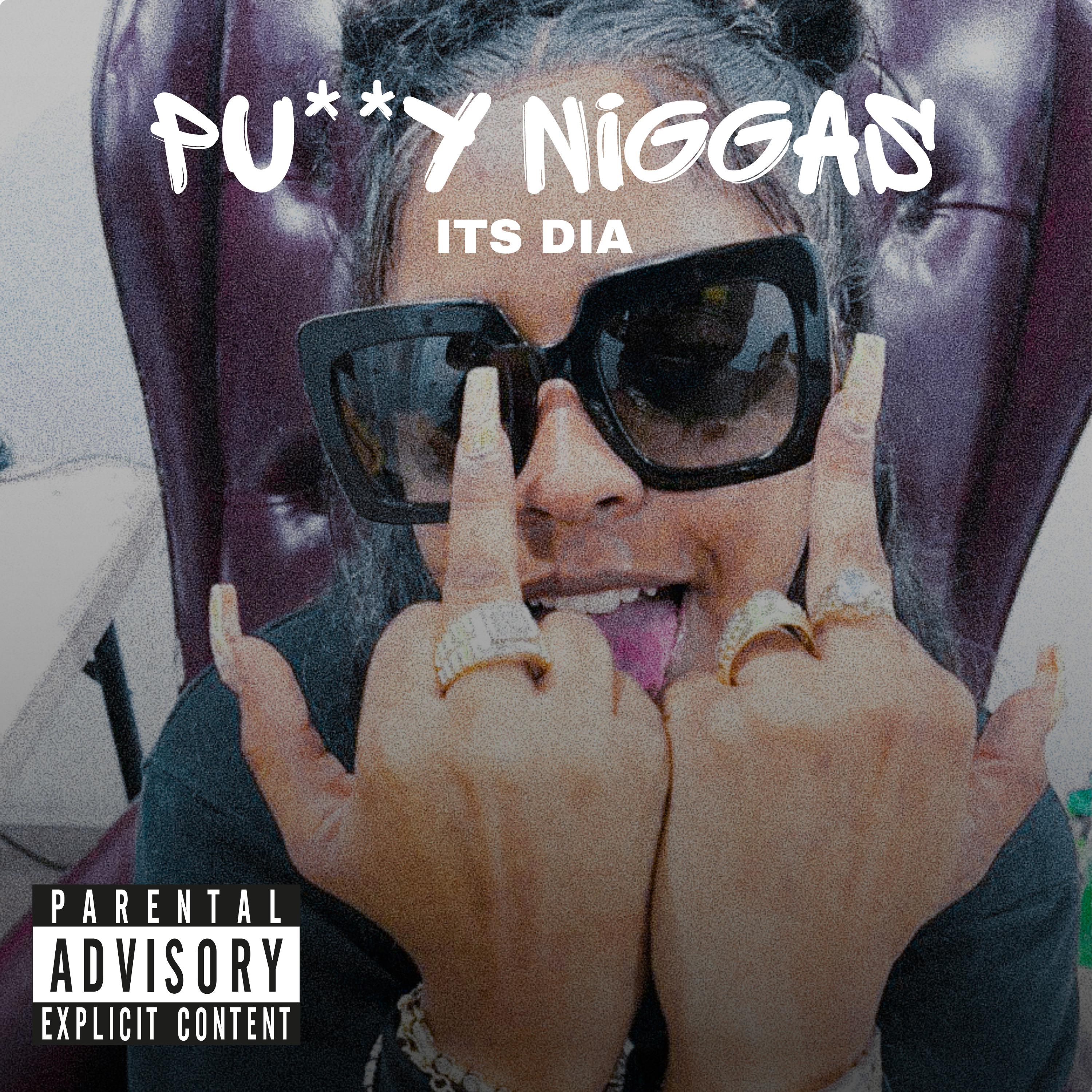 Постер альбома Pu**y Niggas